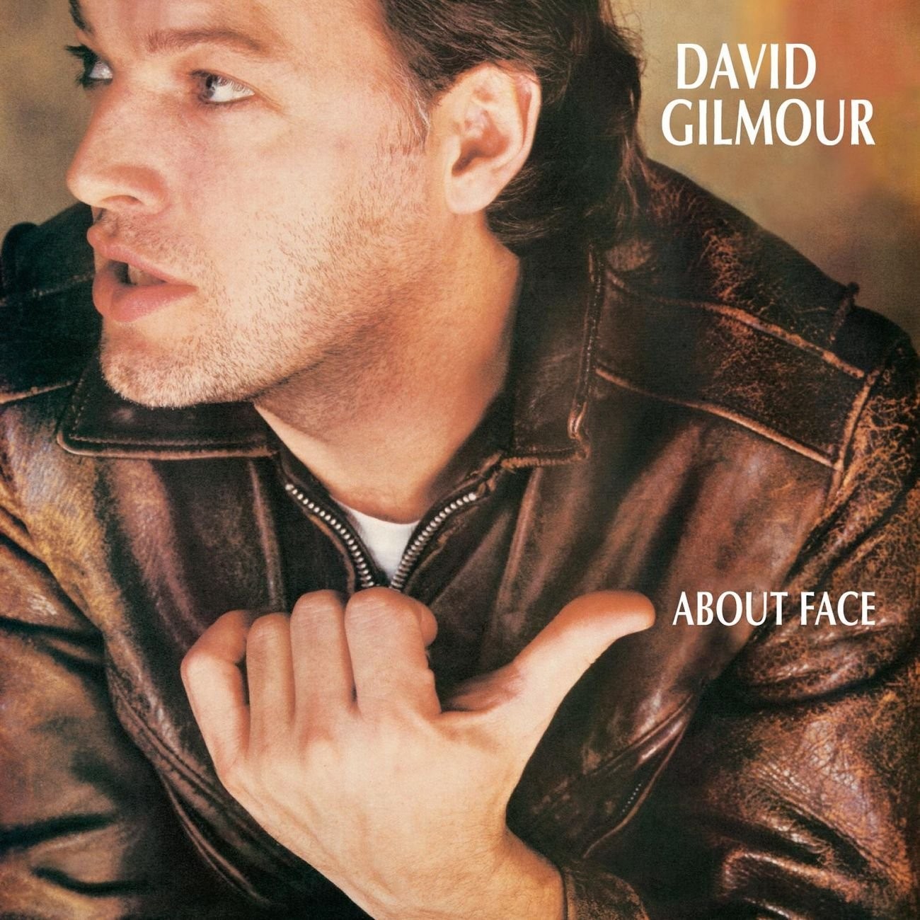 

DAVID GILMOUR – About Face (CD, EU)