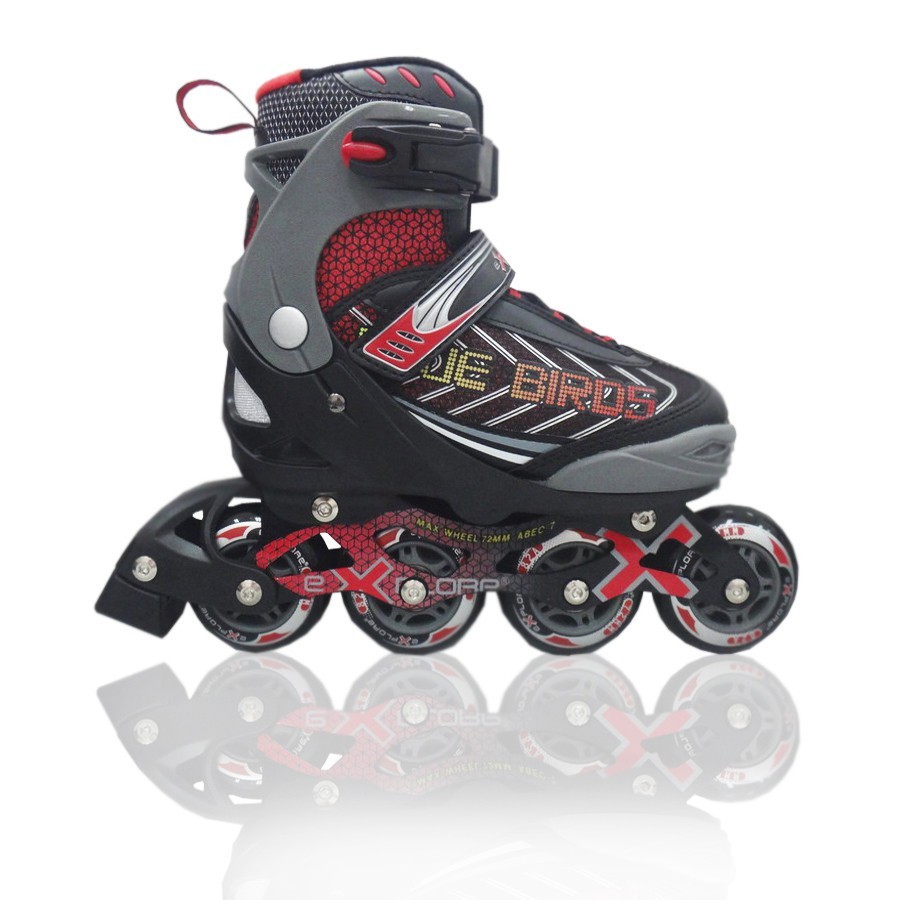 Ролики Explore BLUE BIRDS 39-42 черный – низкие цены, кредит, оплата ...