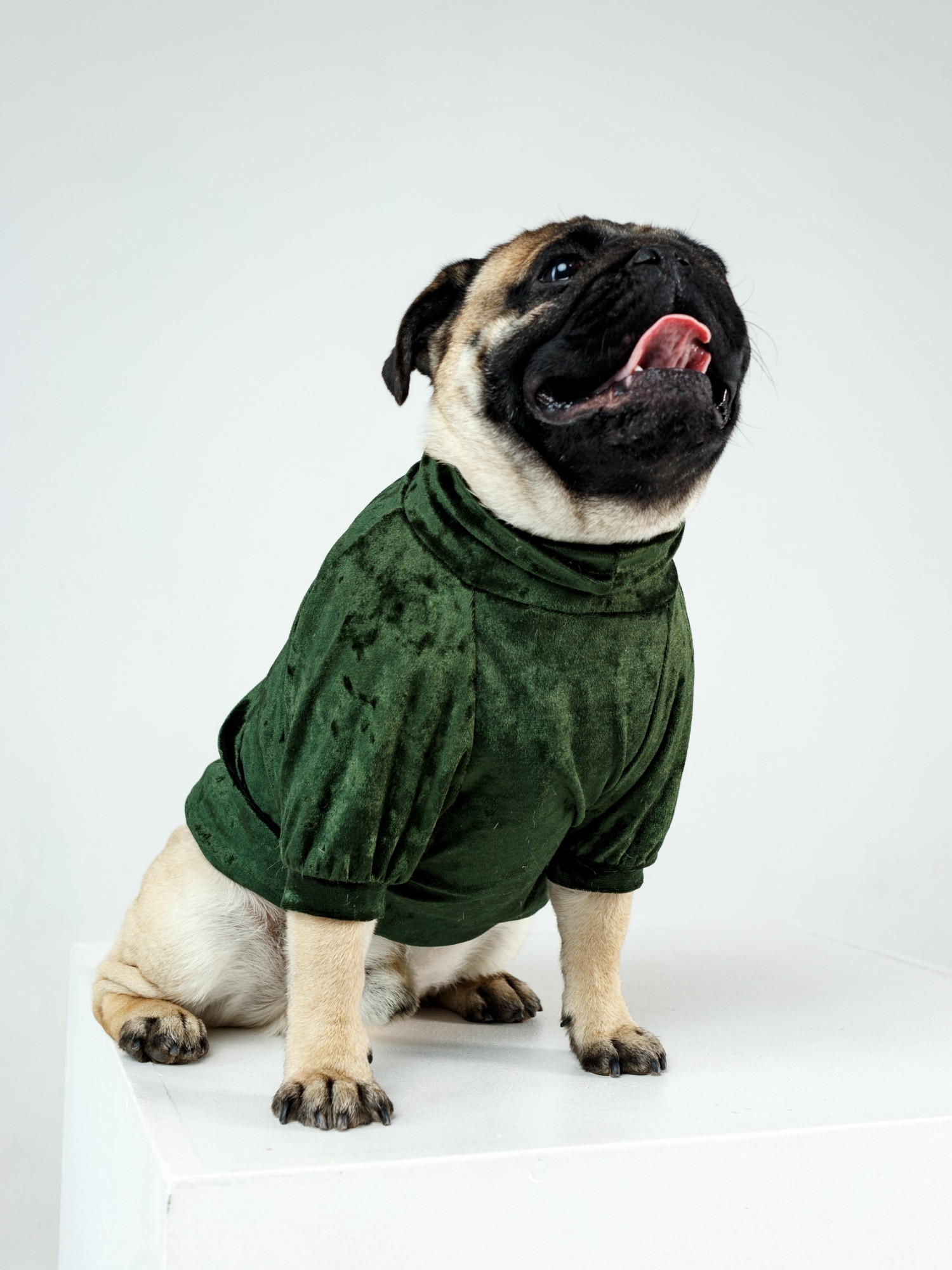 

​Свитер Emerald из мраморного зеленого велюра для собак XXS