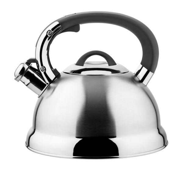 

Чайник со свистком Vinzer Bern VZ-50014 2.7 л