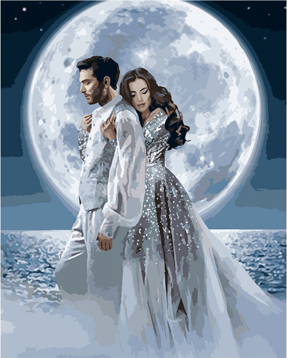 

Картина по номерам Идейка Люди "Под лунным сиянием" 40х50 см KHO4552