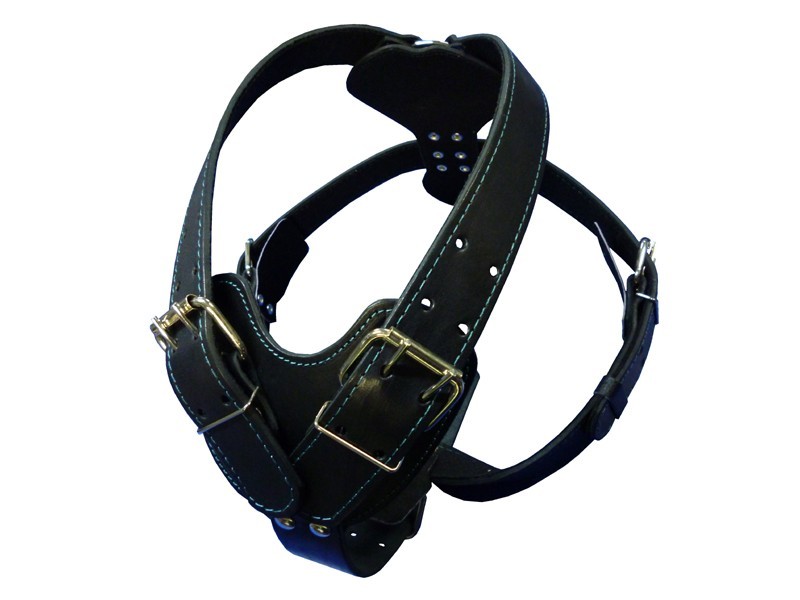 

Шлейка Bеneks кожаная улучшенная 4.0см