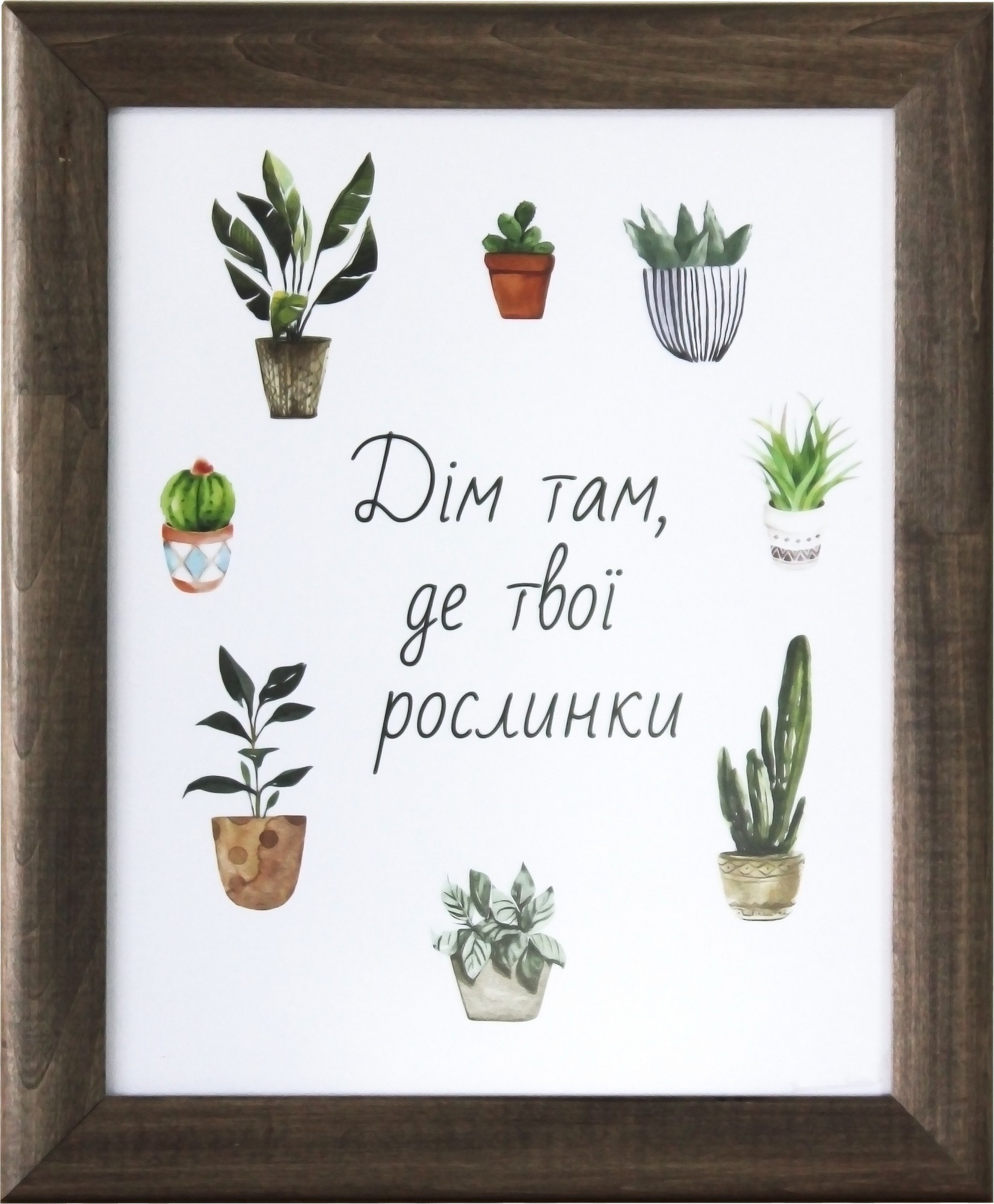 

Постер "Дім там, де твої рослинки" в деревянной раме 290х350мм FRAMES.POSTERS.DECOR