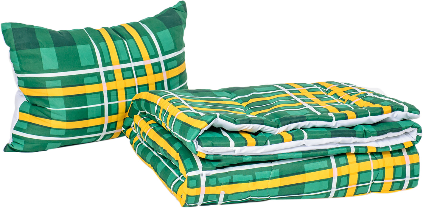 

Набор антиаллергенный Modern EcoSilk Зима №3594 Print Line Croatia (одеяло + подушка средняя) 172х205+50х70