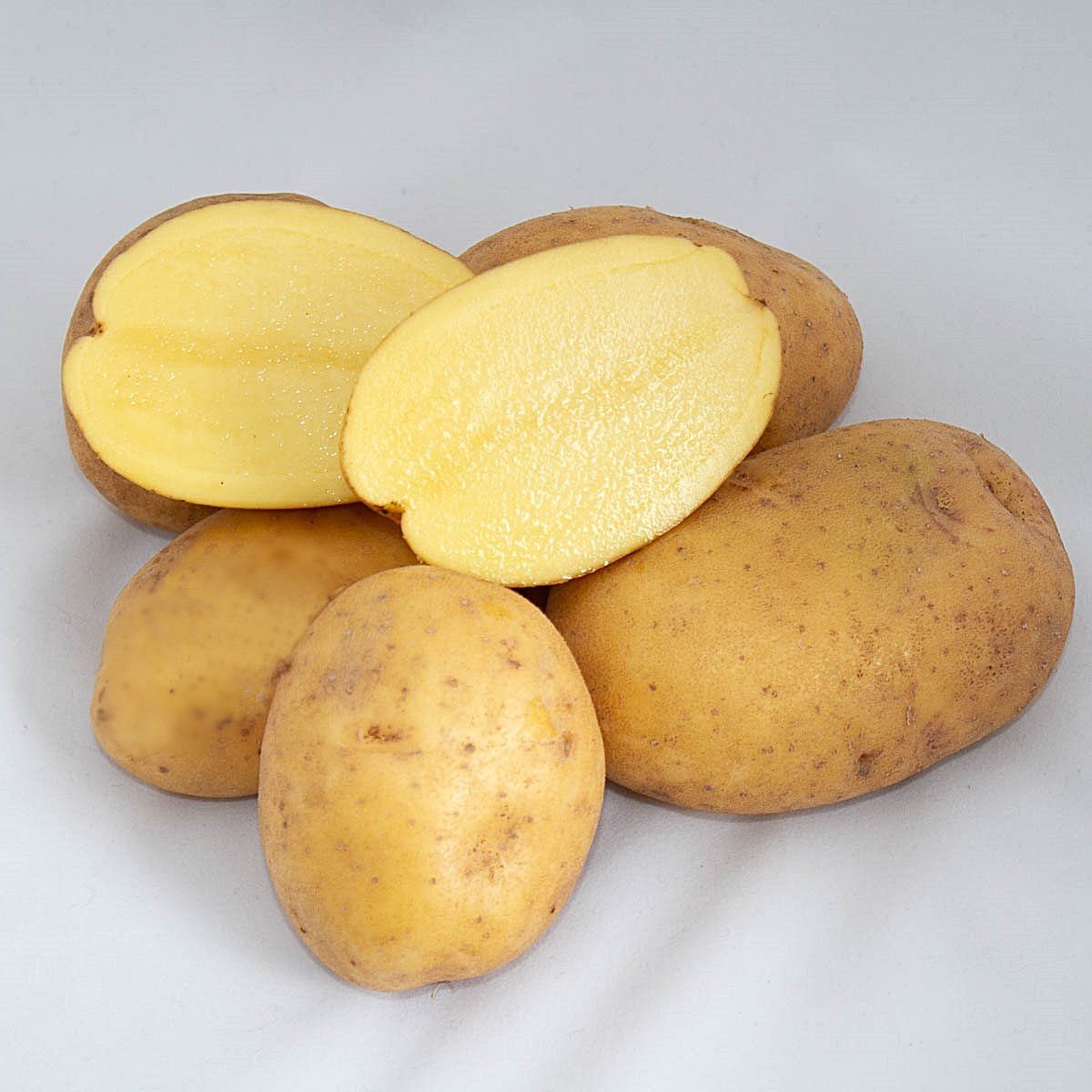 Коломбо картофель характеристика