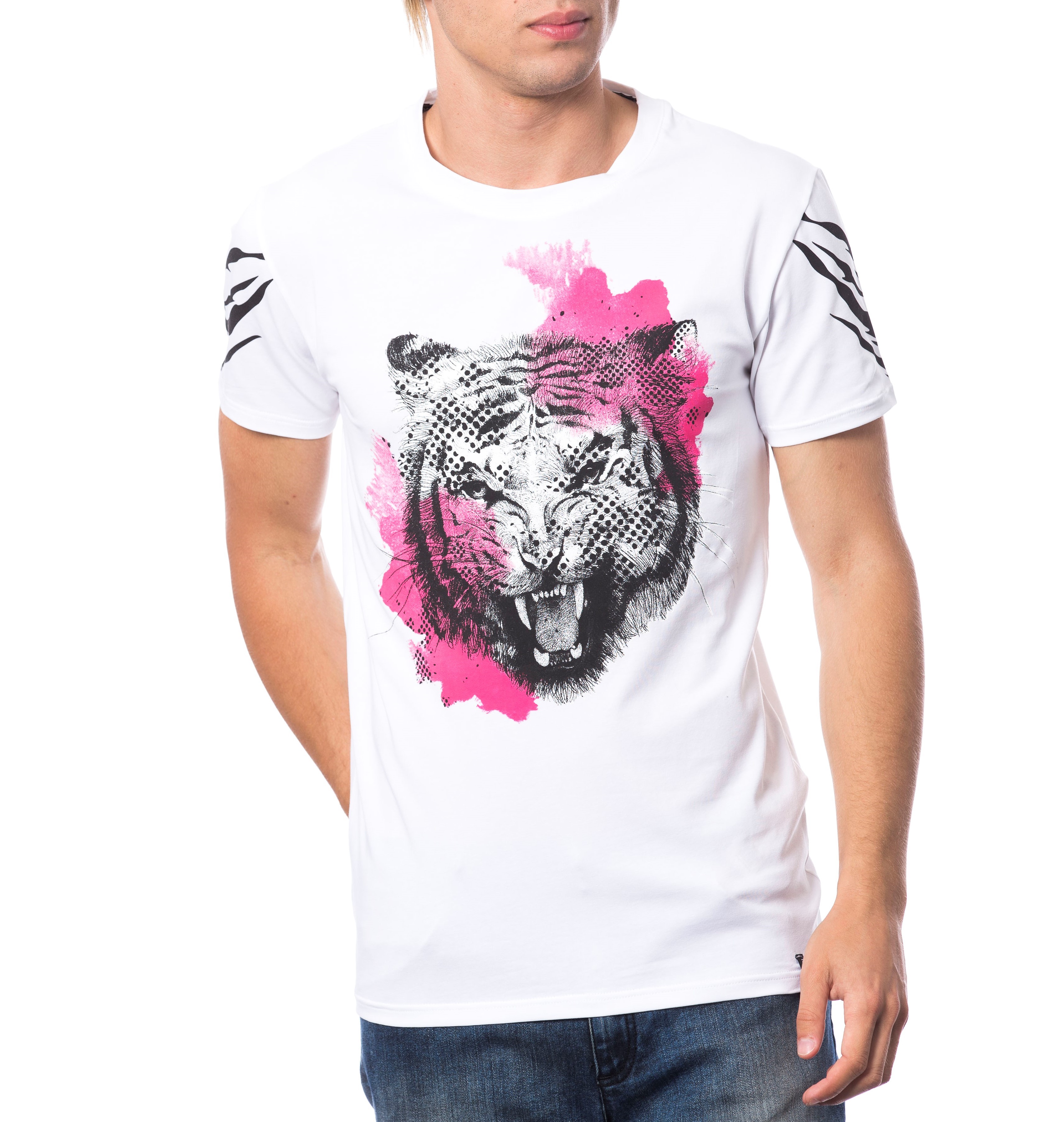 

Футболка ROBERTO CAVALLI  Белый, Футболка ROBERTO CAVALLI 4XL Белый