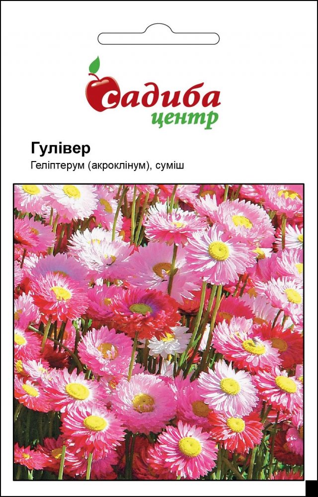 Догляд за Геліптерум рожевий