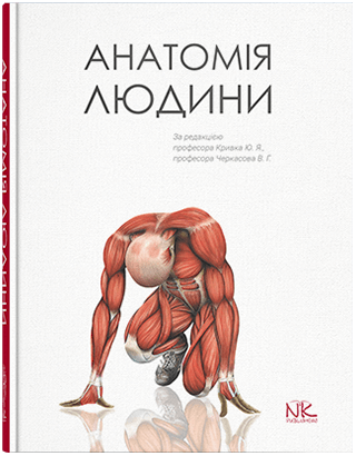 

Анатомія людини. Кривко Ю.Я., Черкасов В.Г., Кравчук С.Ю. та інші