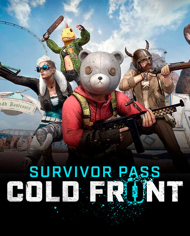 

Ключ активации Steam | Survivor Pass: Cold Front