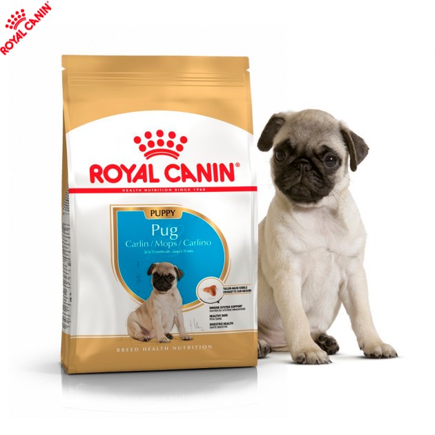 

Сухой полнорационный корм Royal Canin Pug Puppy корм для щенков мопса от 2 до 10 месяцев 1.5 кг (41300051)