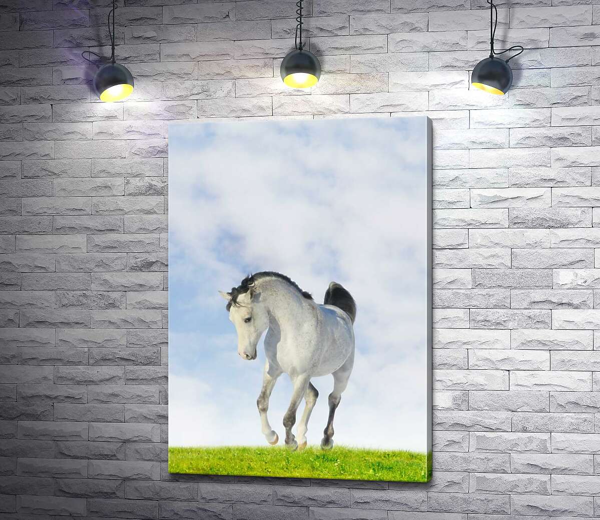 

Картина ArtPoster Белая лошадь скачет по сочной траве 130x187 см Модуль №1