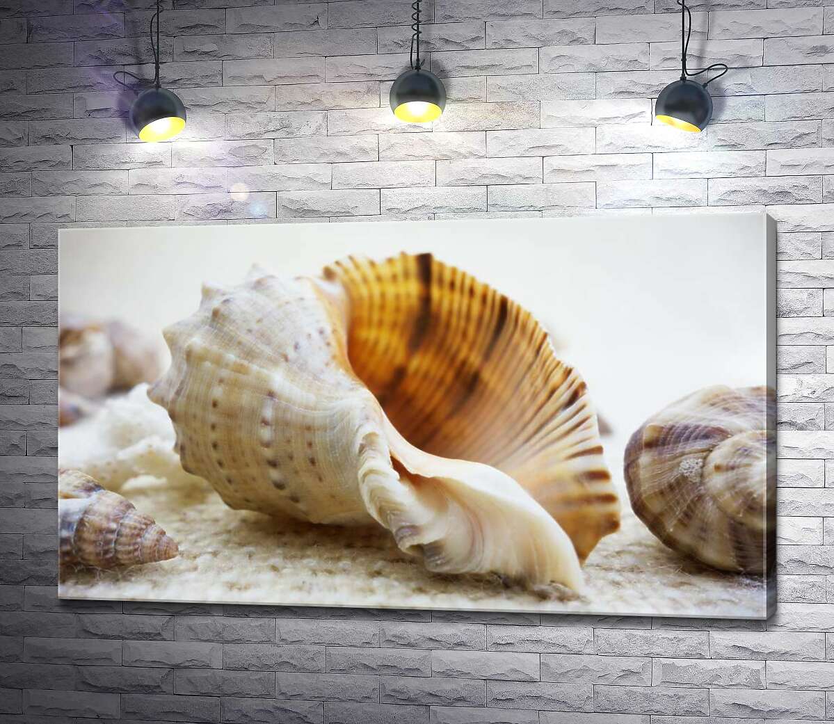 

Картина ArtPoster Ажурные изгибы форм в морских раковинах 100x59 см Модуль №1