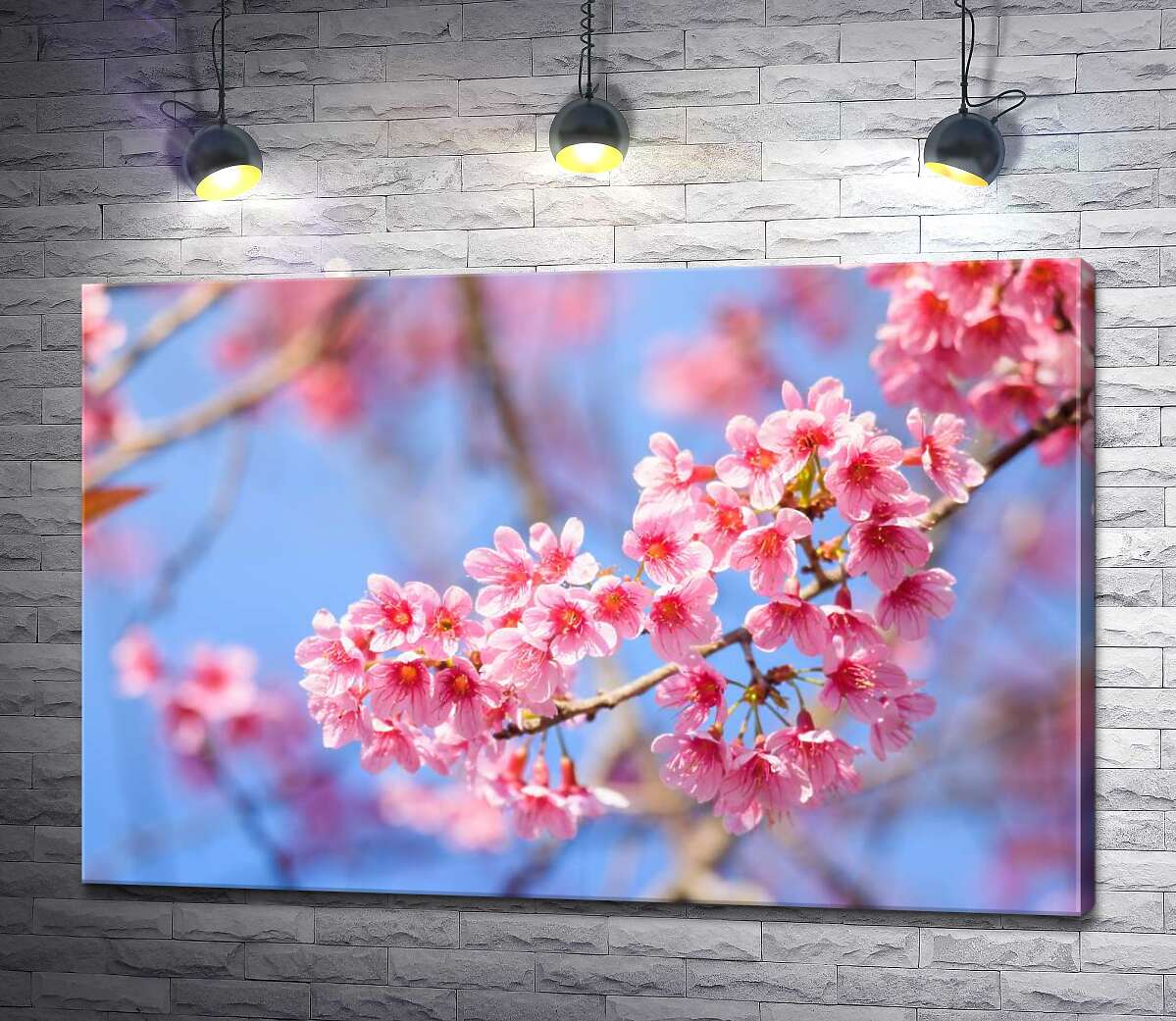 

Картина ArtPoster Воздушная ветка, усеянная нежными цветами персика 100x67 см Модуль №1