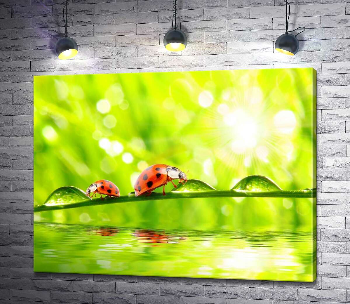 

Картина ArtPoster Божьи коровки пьют из капель утренней росы 130x101 см Модуль №1