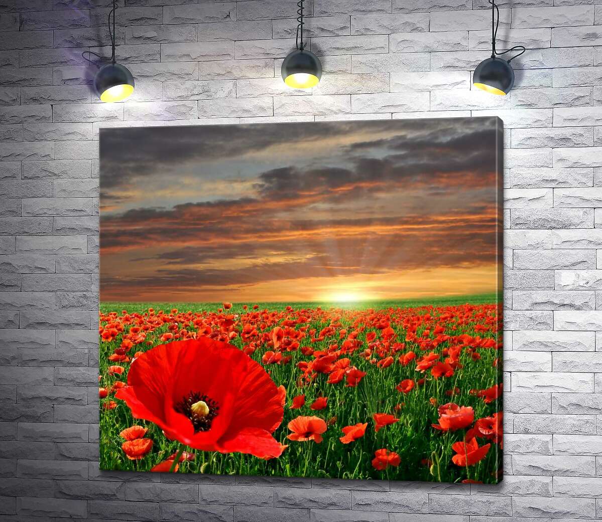 

Картина ArtPoster Вечернее солнце садится за бескрайним полем маков 100x94 см Модуль №1