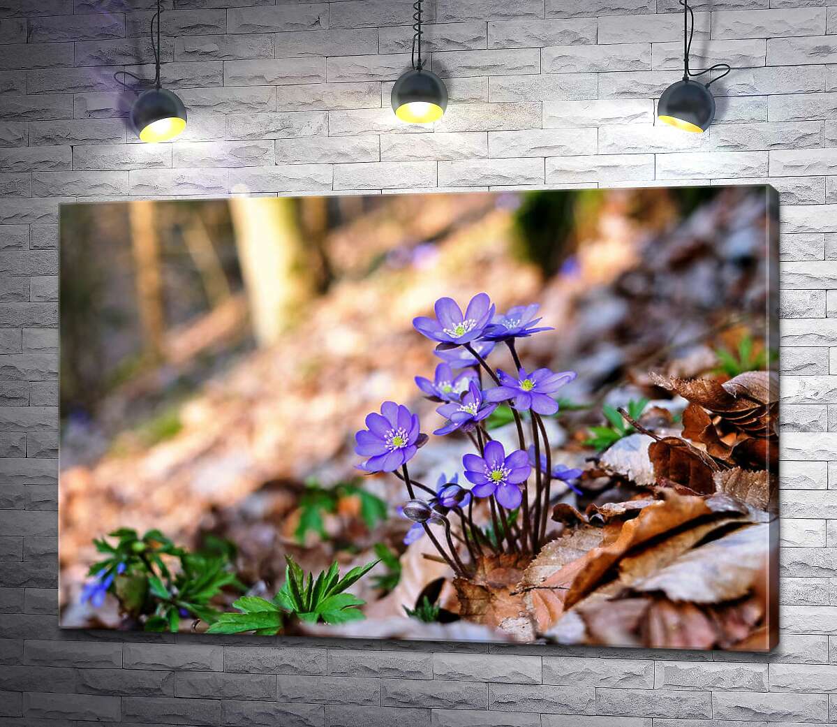 

Картина ArtPoster Куст хрупких перелесок в весеннем лесу 100x67 см Модуль №1