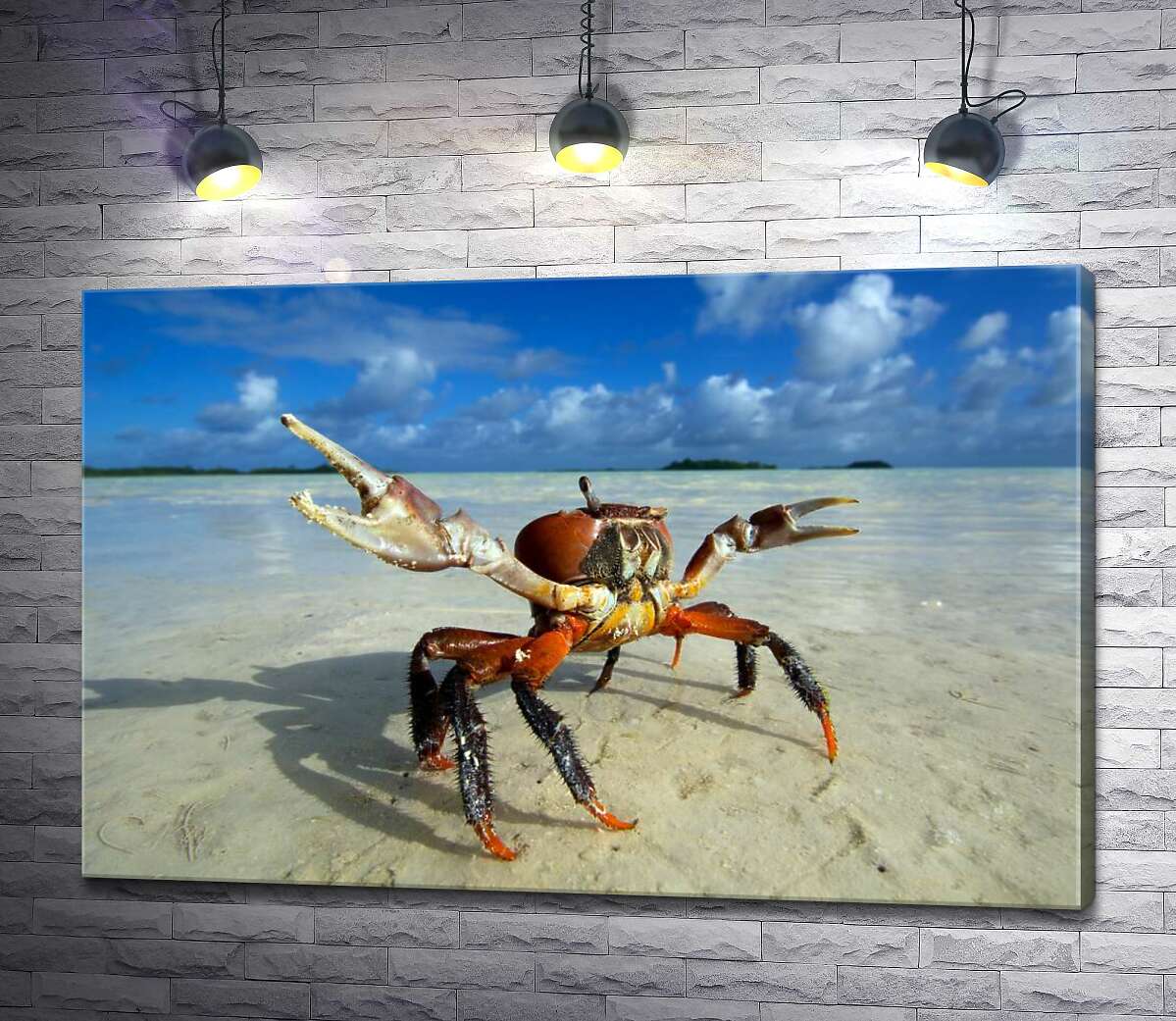 

Картина ArtPoster Краб готовит клешни к нападению 100x65 см Модуль №1