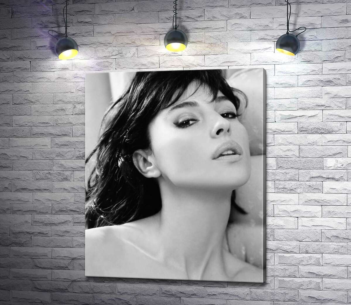

Картина ArtPoster Откровенный взгляд Моники Беллуччи (Monica Bellucci) 130x159 см Модуль №1