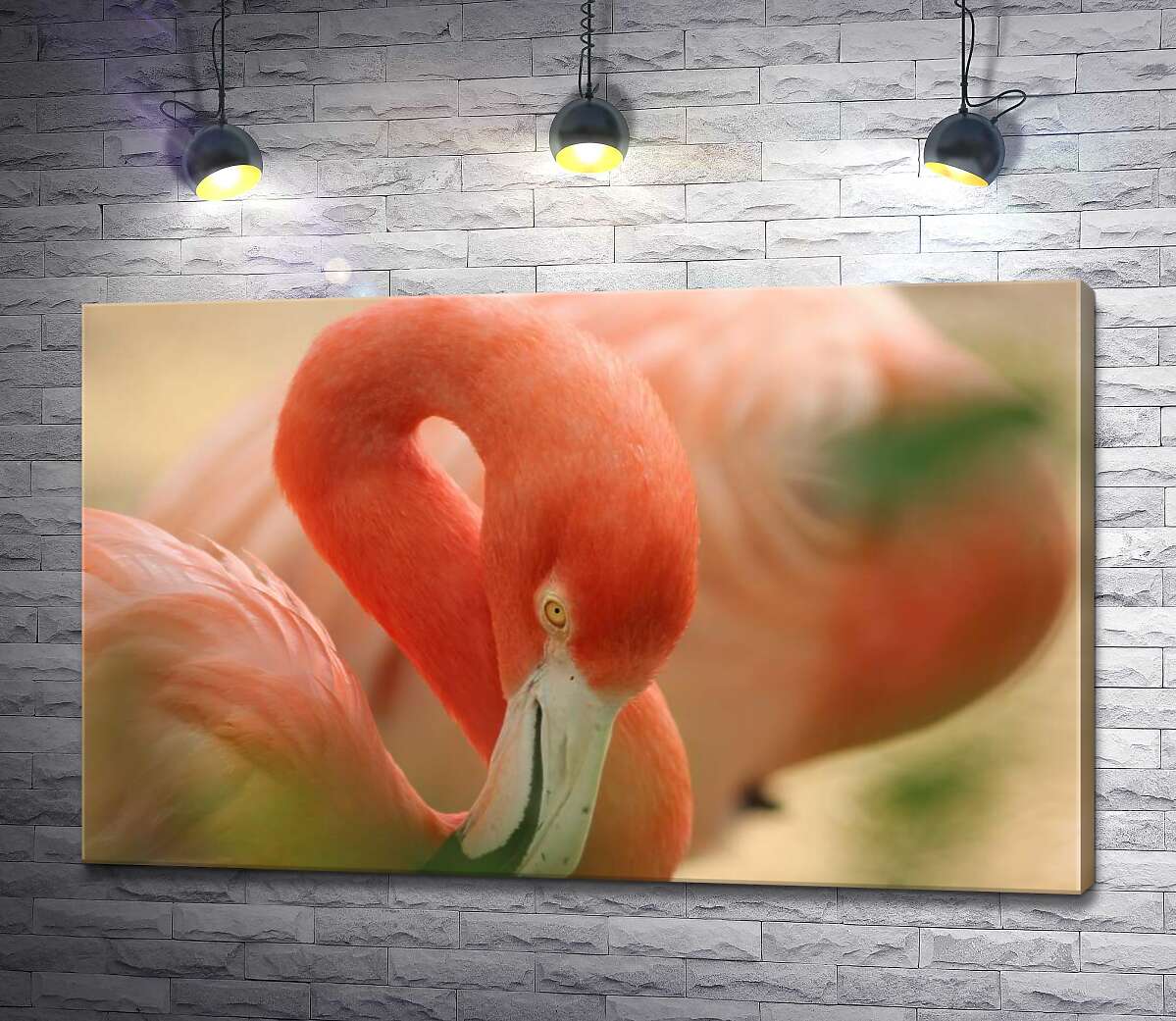 

Картина ArtPoster Нежно-розовое оперение на изгибах шеи фламинго 130x81 см Модуль №1