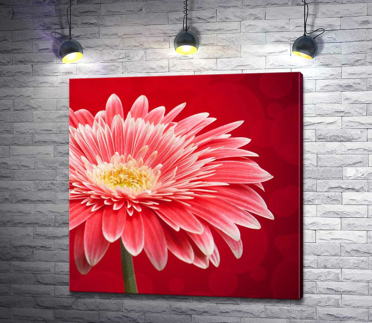 

Картина ArtPoster Переливы розовых лепестков герберы на багровом фоне 130x130 см Модуль №1