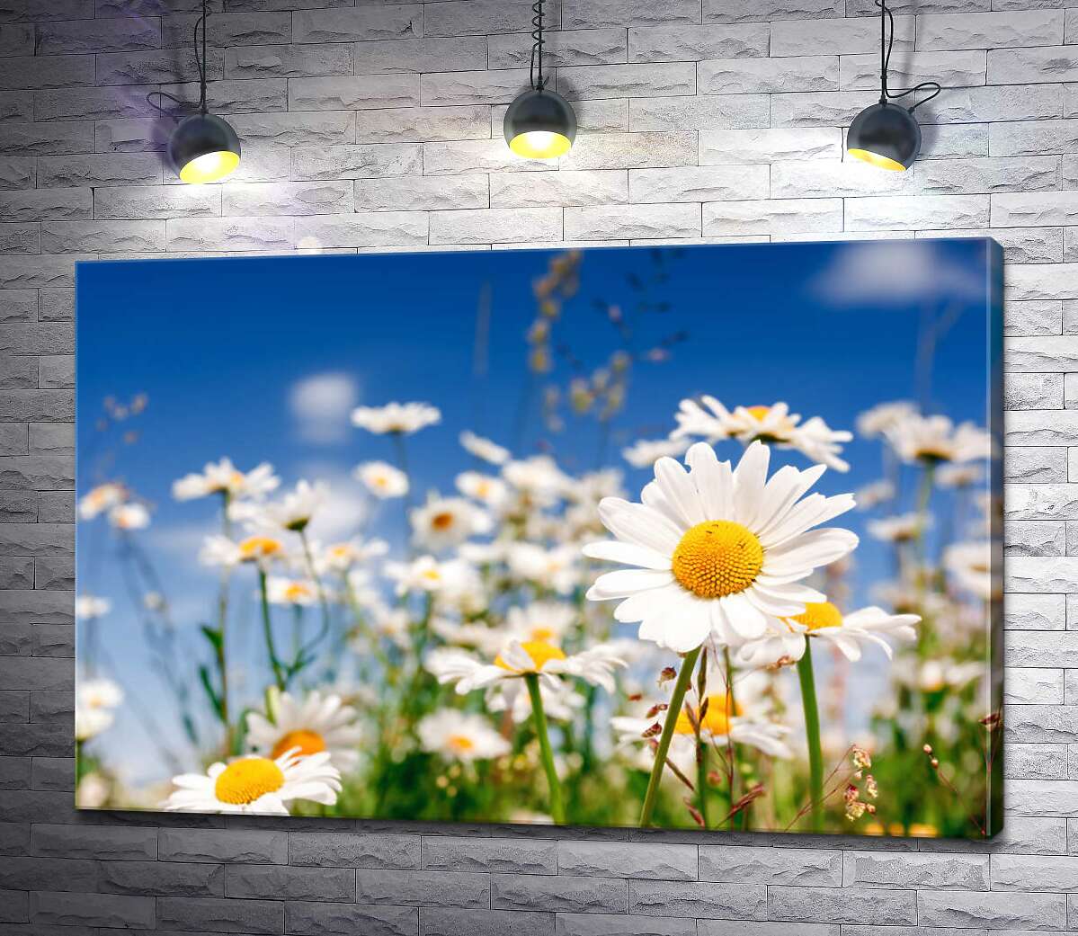

Картина ArtPoster Поле белоснежных ромашек 130x87 см Модуль №1