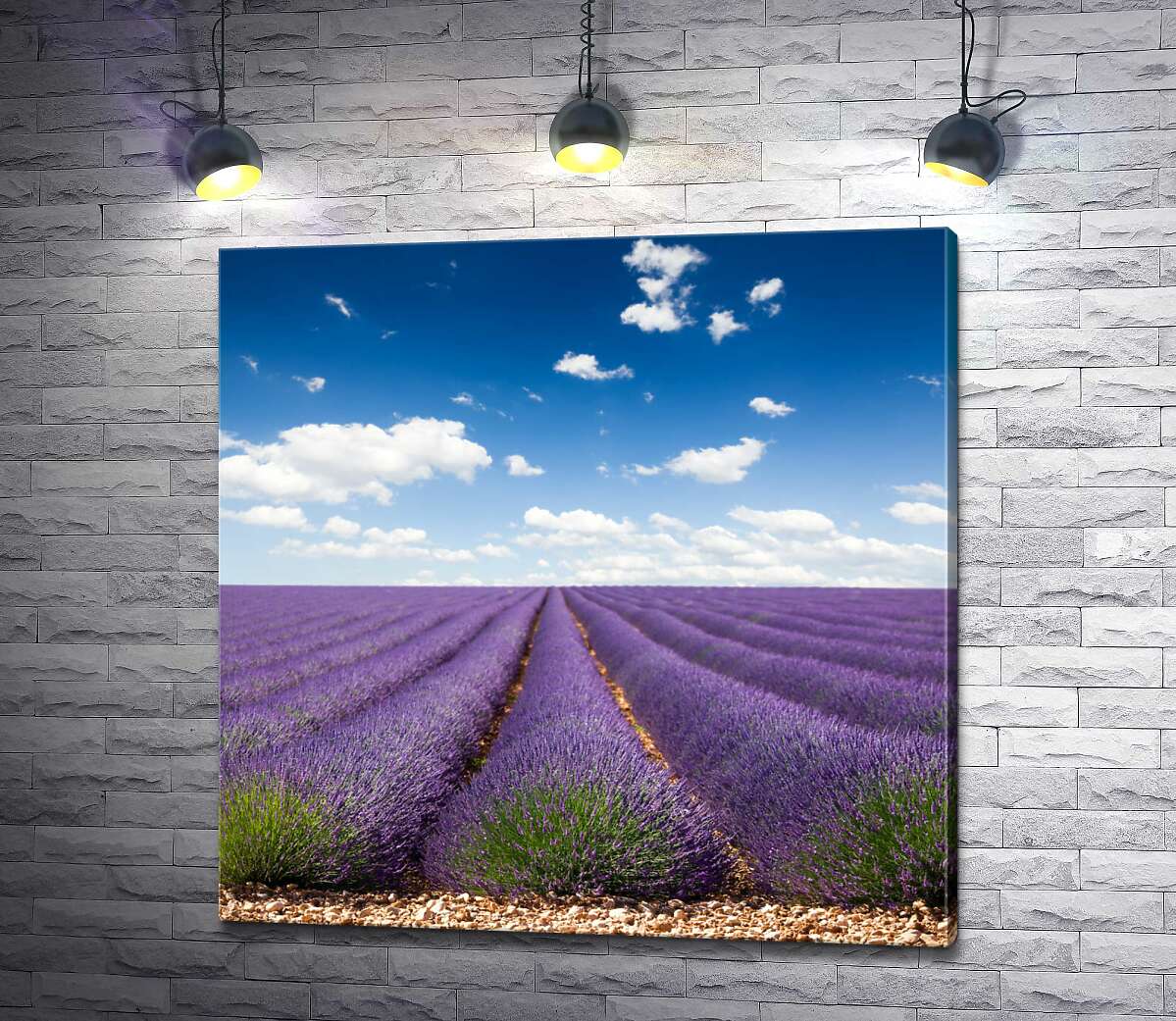 

Картина ArtPoster Пурпурные ряды благоухающей лаванды исчезают за горизонтом 100x100 см Модуль №1