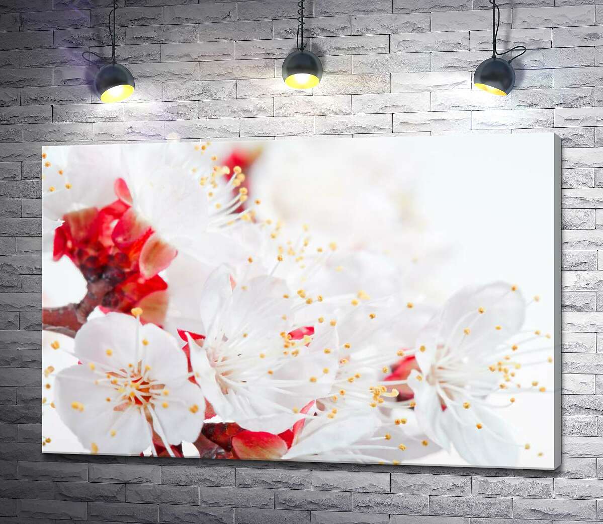 

Картина ArtPoster Тонкие тычинки с желтыми кисточками на белых весенних цветах 100x67 см Модуль №1