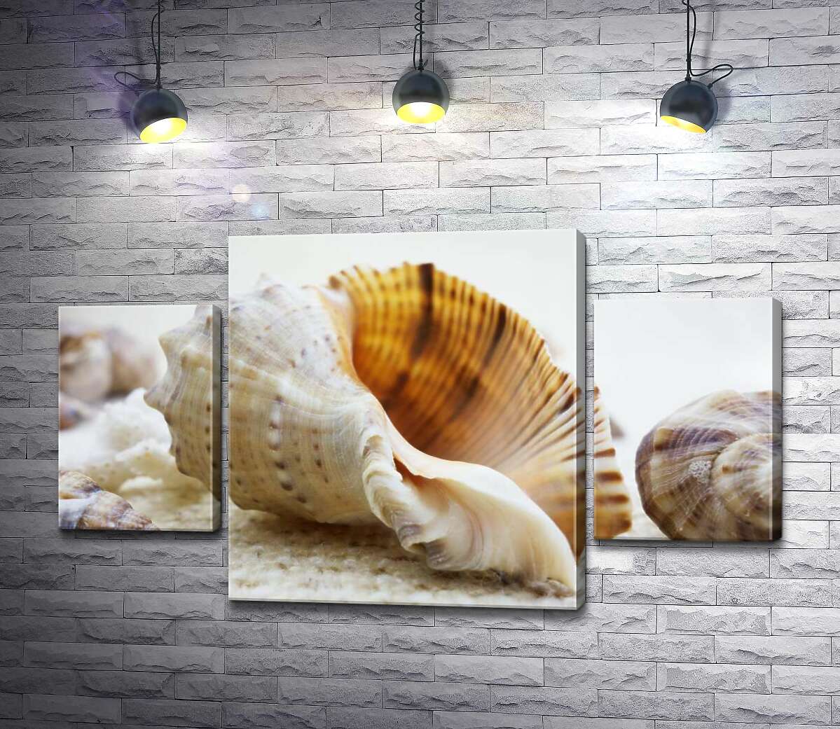

Модульная картина ArtPoster Ажурные изгибы форм в морских раковинах 100x60 см Модуль №7