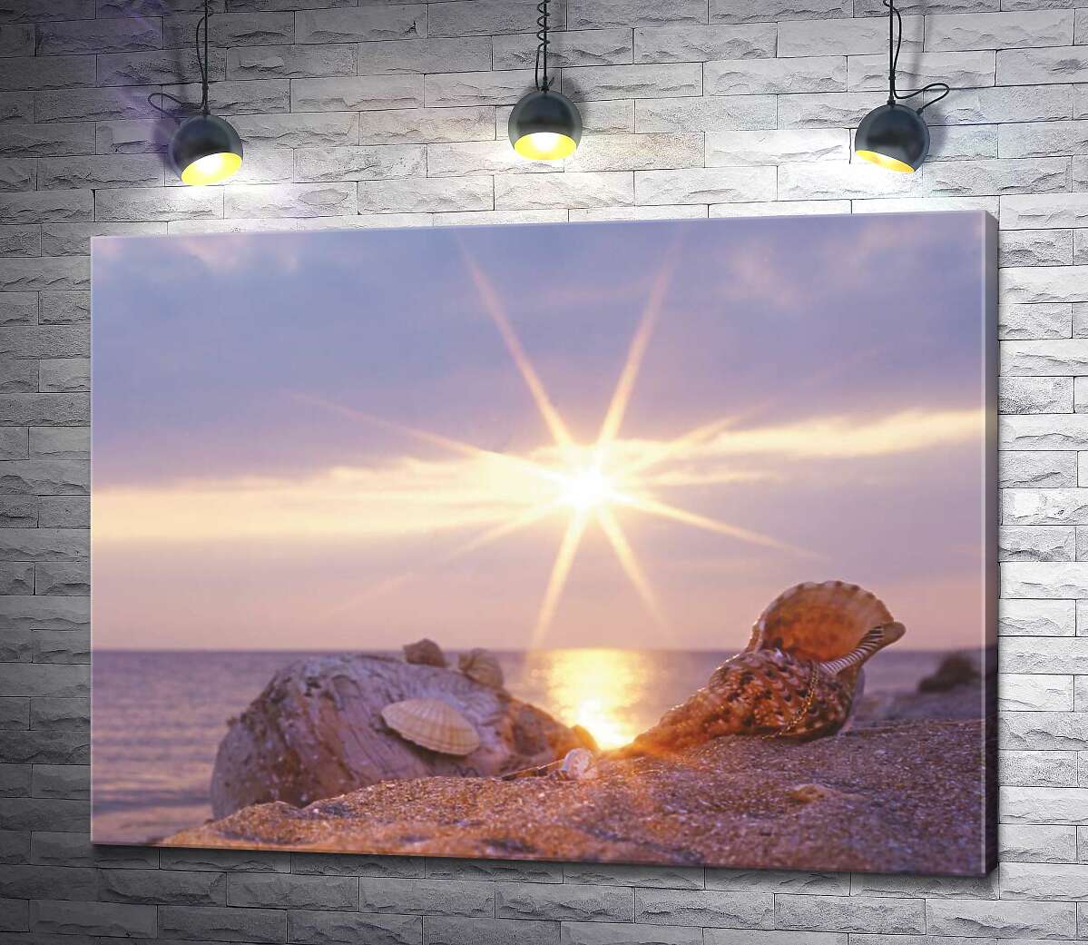 

Картина ArtPoster Ракушки, рассыпанные по песчаному берегу, в лучах солнца 100x75 см Модуль №1