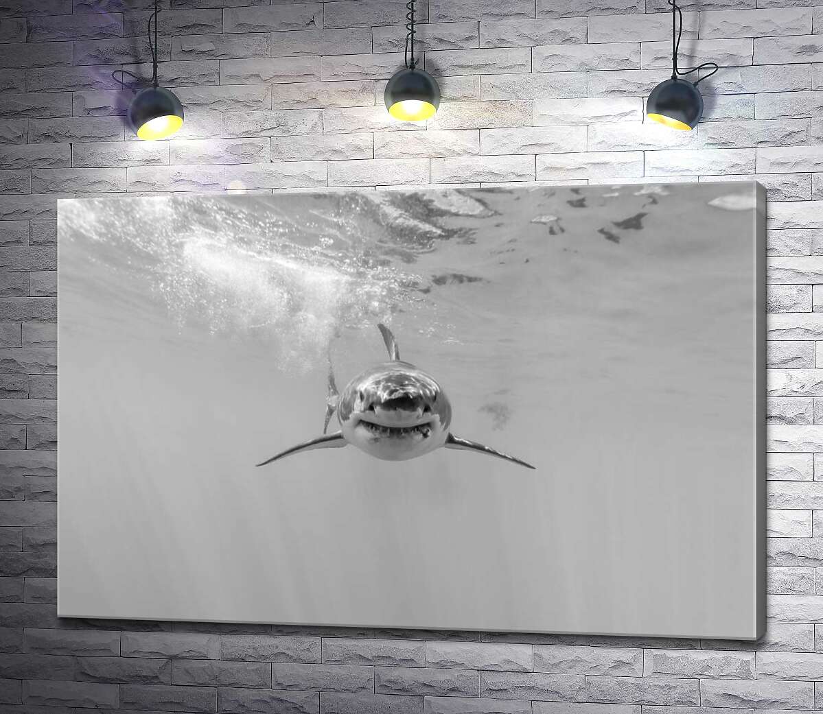 

Картина ArtPoster Черно-белый силуэт приближающейся акулы 100x67 см Модуль №1