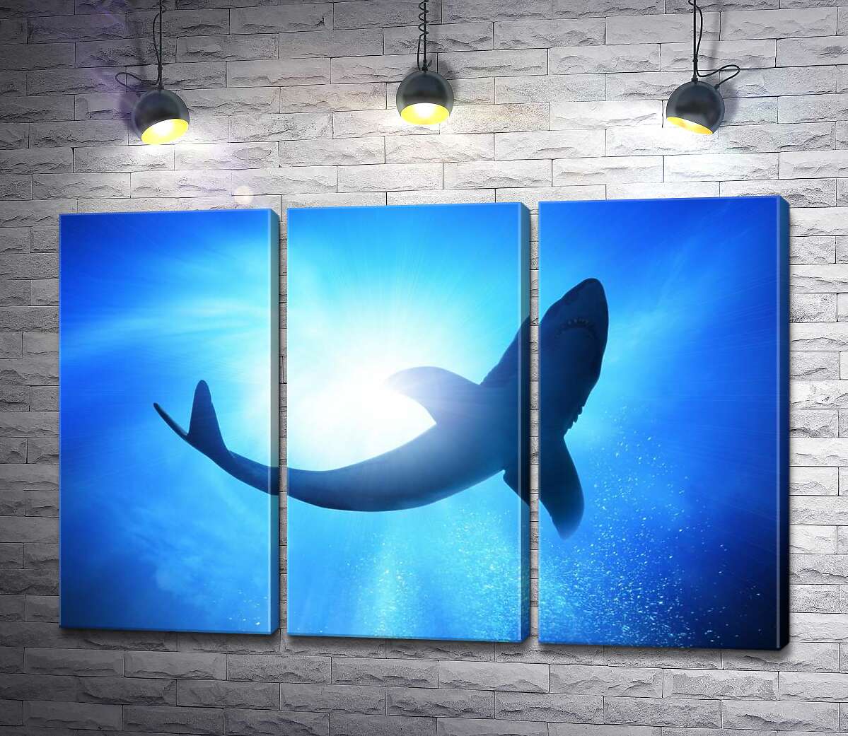 

Модульная картина ArtPoster Акула в глубинах океана 60x40 см Модуль №11