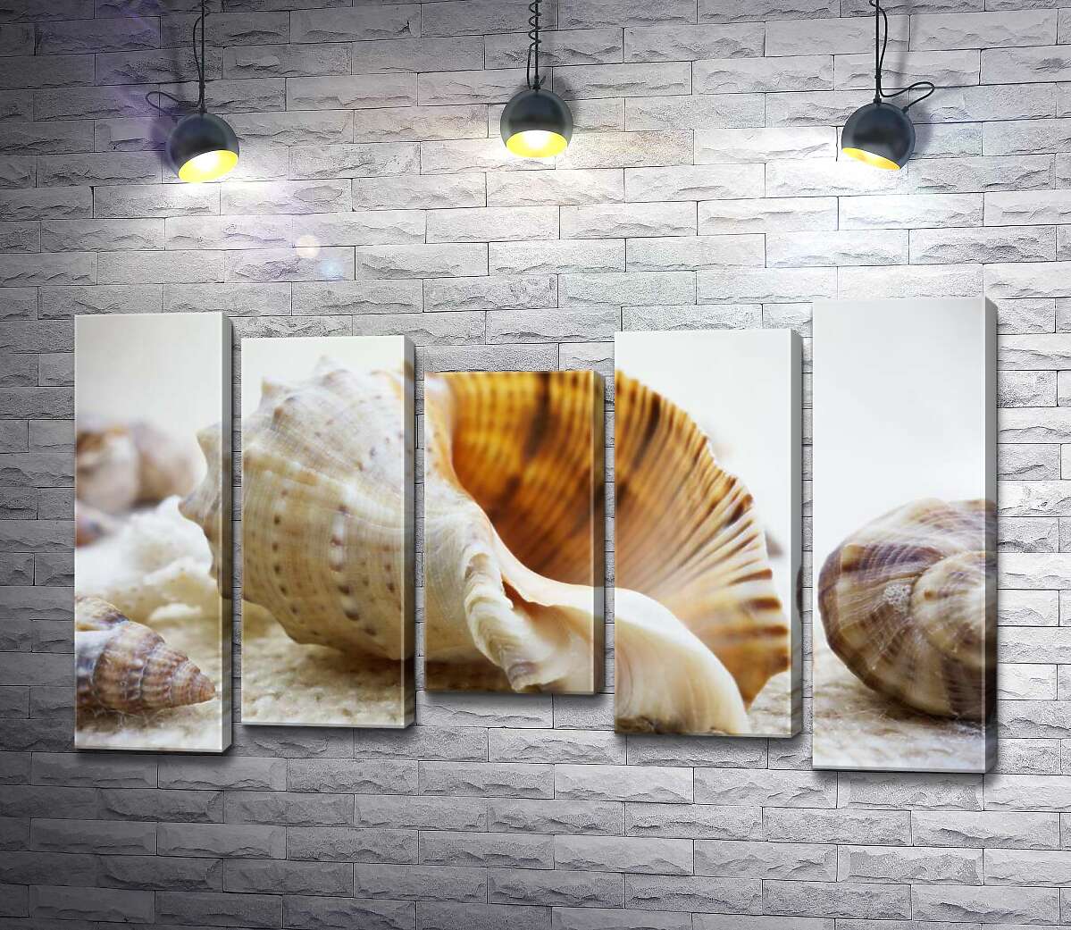 

Модульная картина ArtPoster Ажурные изгибы форм в морских раковинах 100x61 см Модуль №28