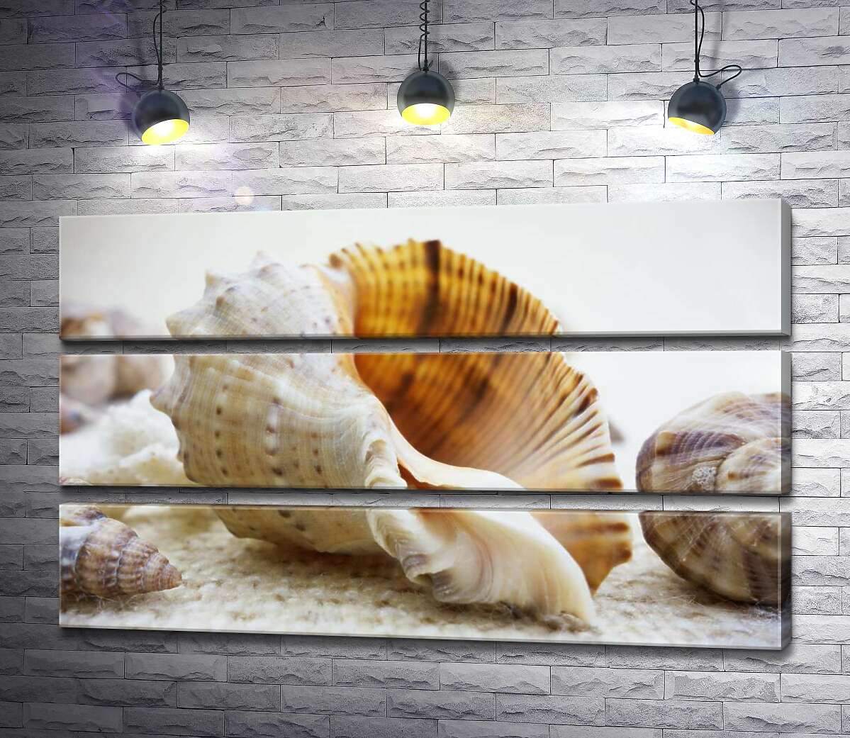 

Модульная картина ArtPoster Ажурные изгибы форм в морских раковинах 103x60 см Модуль №13