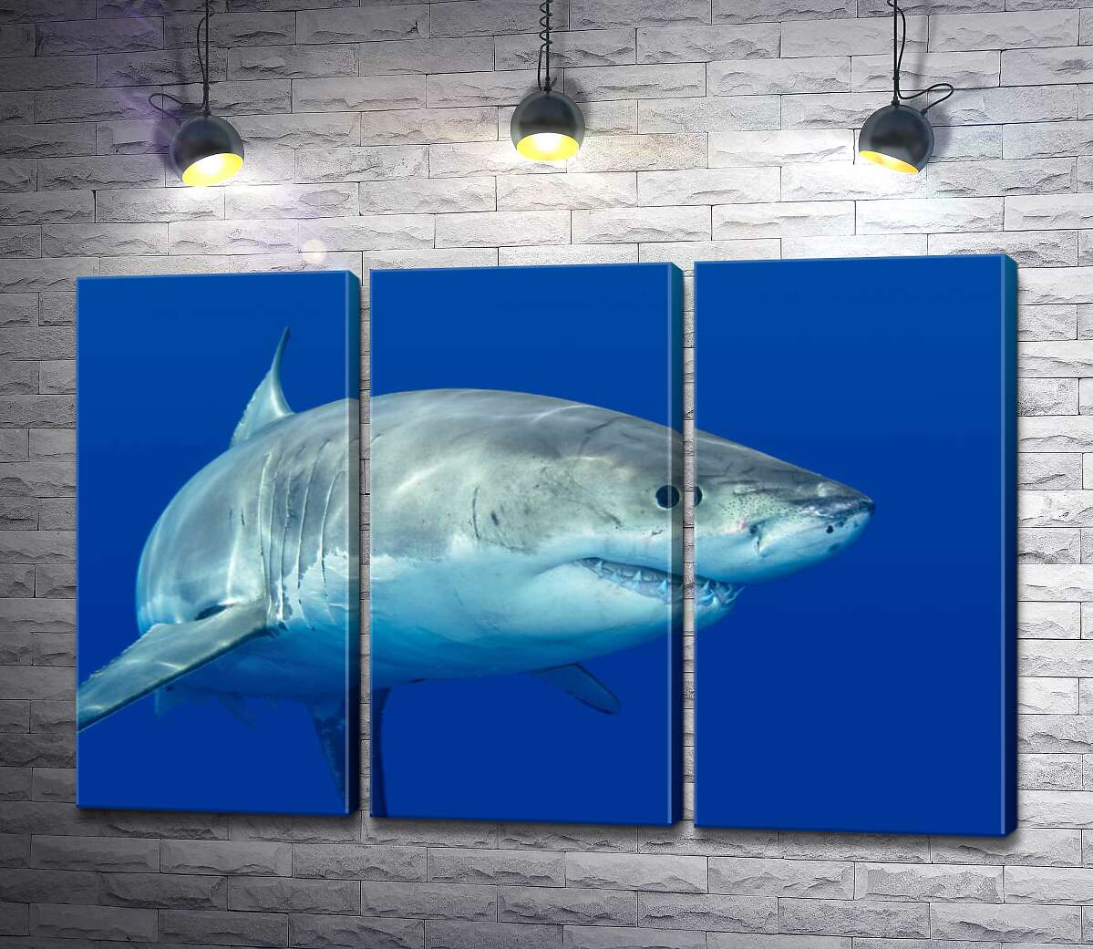 

Модульная картина ArtPoster Белая акула плавает в голубой воде 132x87 см Модуль №11