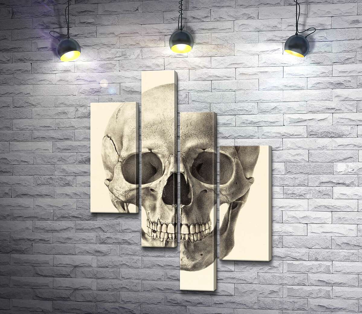 

Модульная картина ArtPoster Анатомия в деталях: череп человека 130x185 см Модуль №20