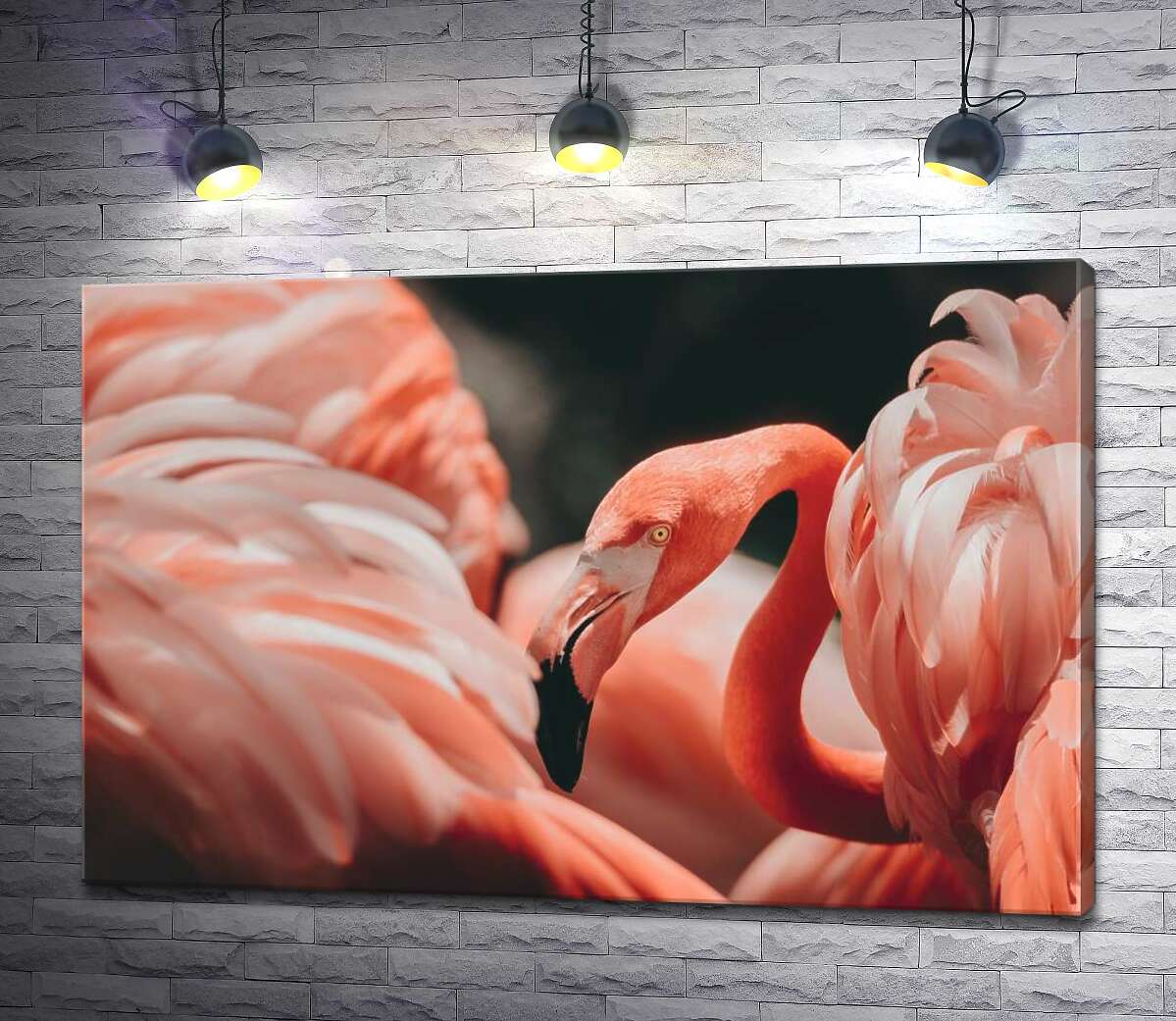 

Картина ArtPoster Розовые облака из оперения фламинго 100x67 см Модуль №1