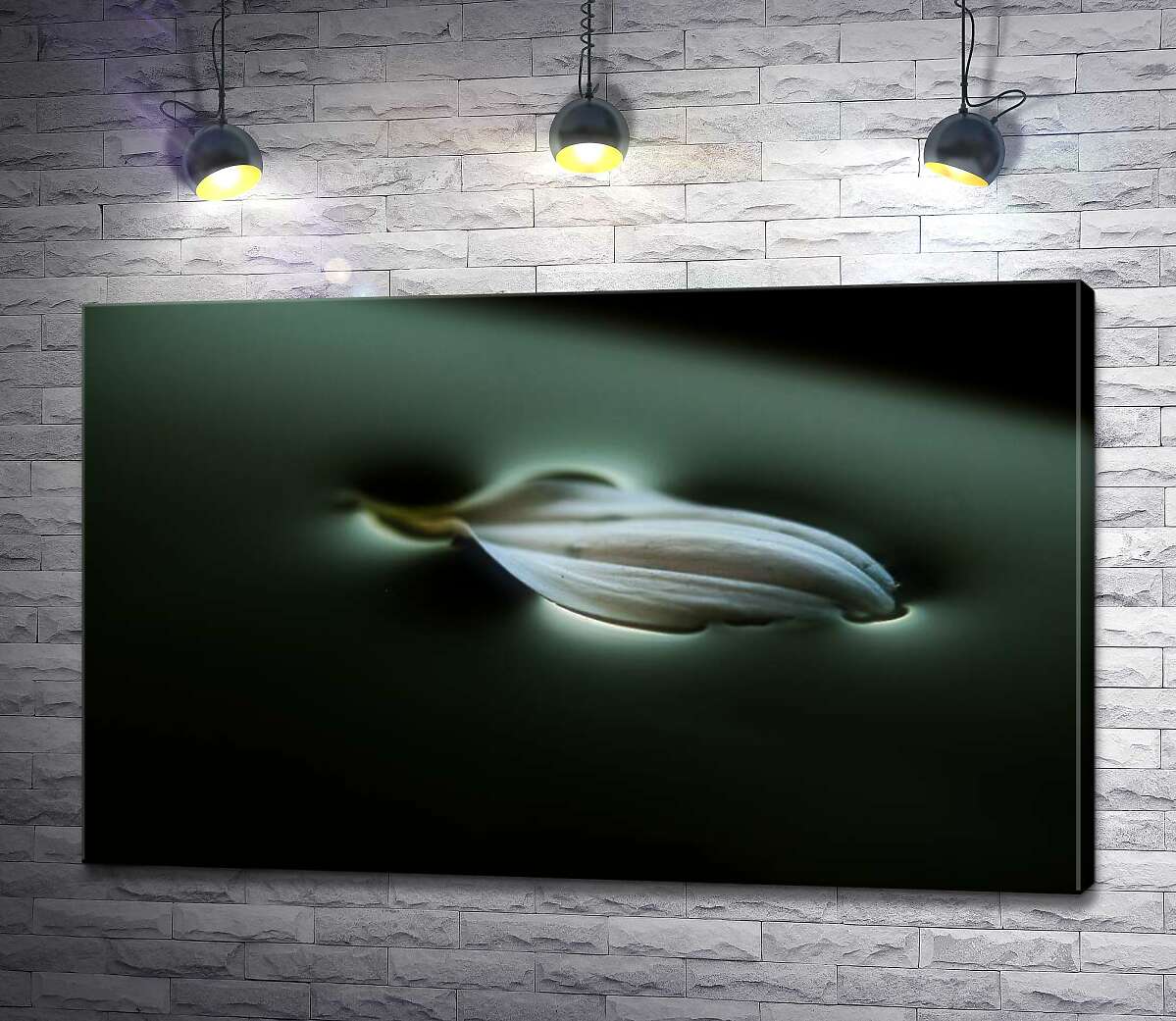 

Картина ArtPoster Тонкий лепесток изгибает поверхность воды 100x63 см Модуль №1