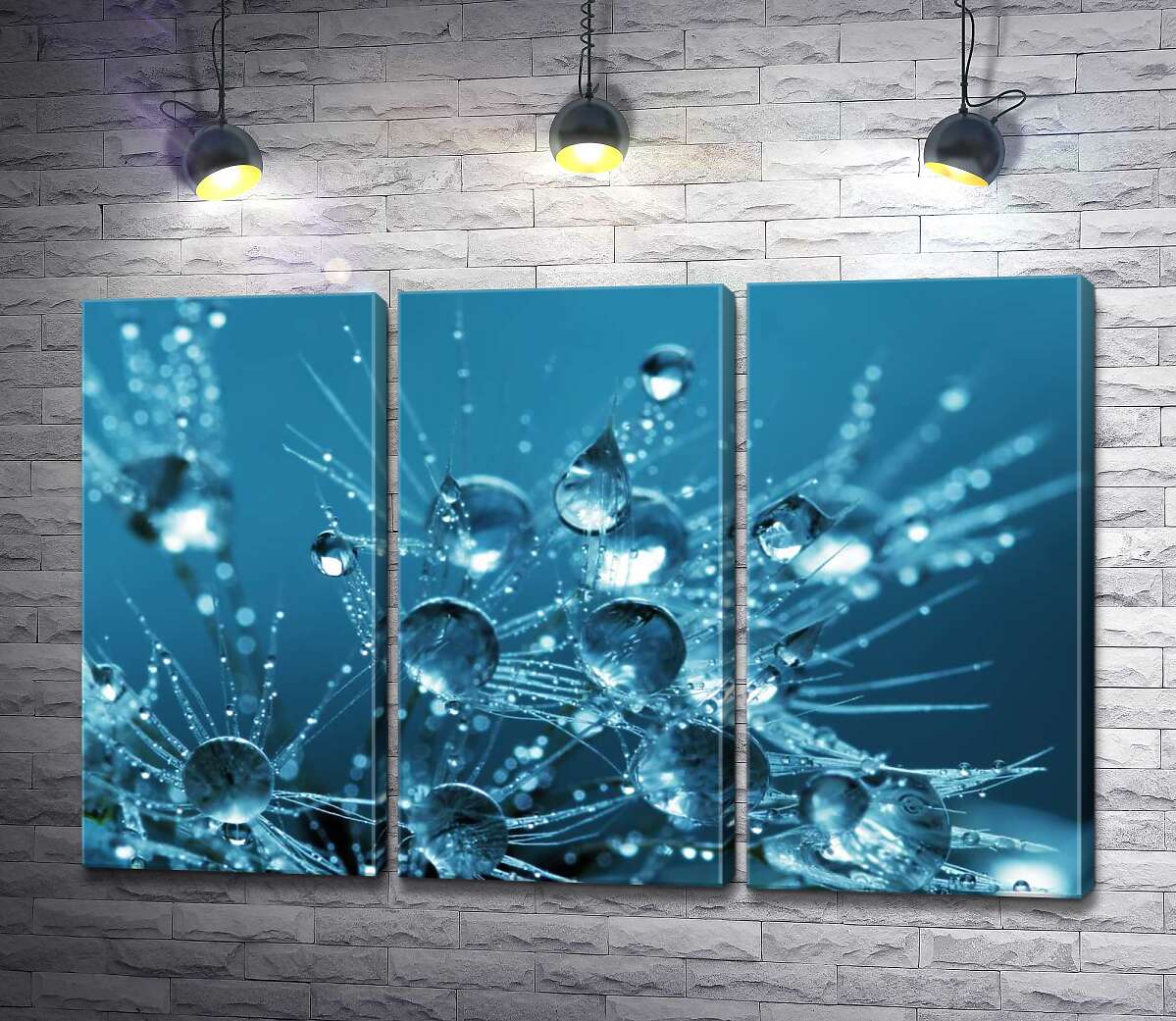

Модульная картина ArtPoster Ажурные кончики одуванчика утопают в каплях воды 102x66 см Модуль №11