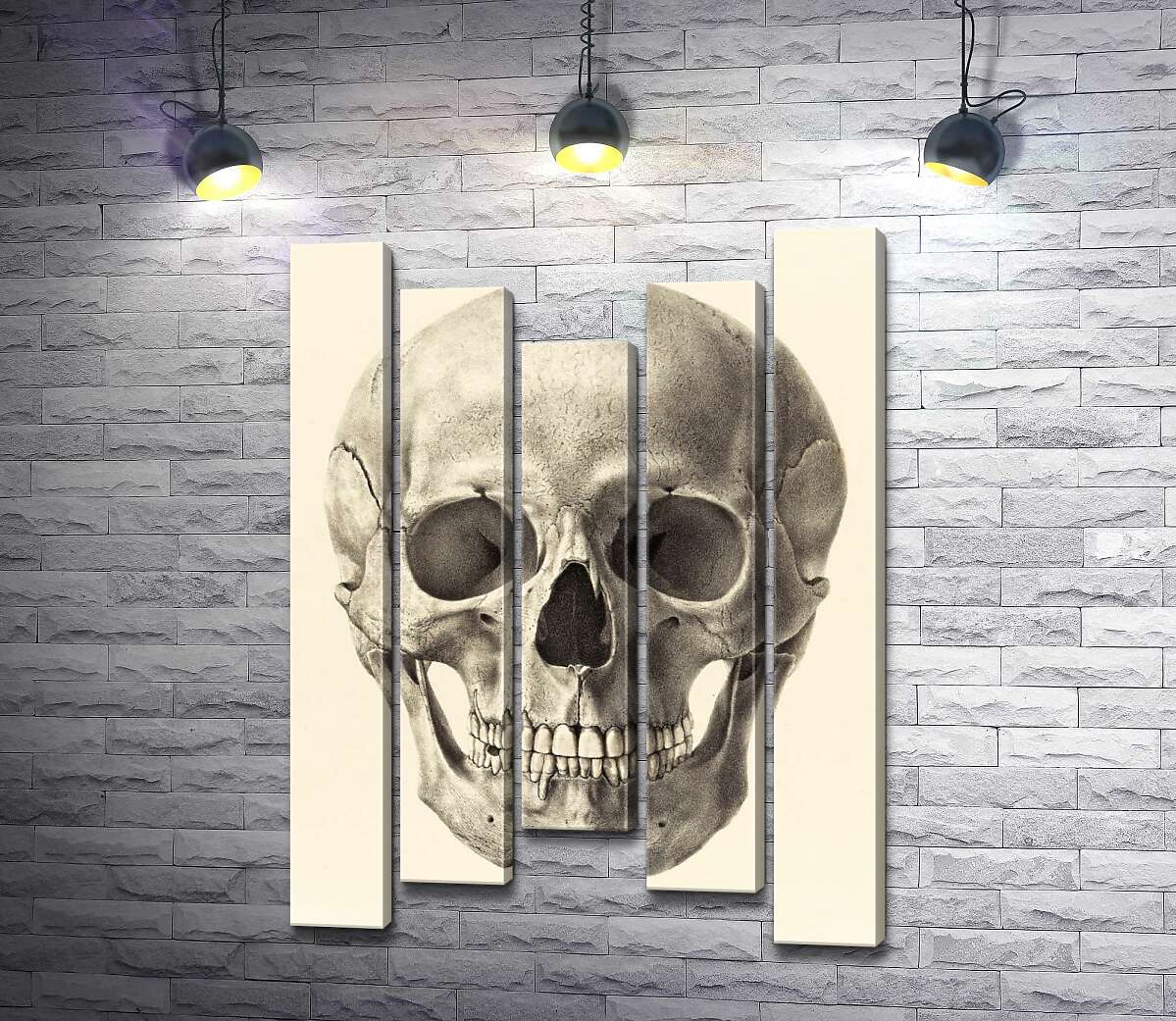 

Модульная картина ArtPoster Анатомия в деталях: череп человека 100x143 см Модуль №28