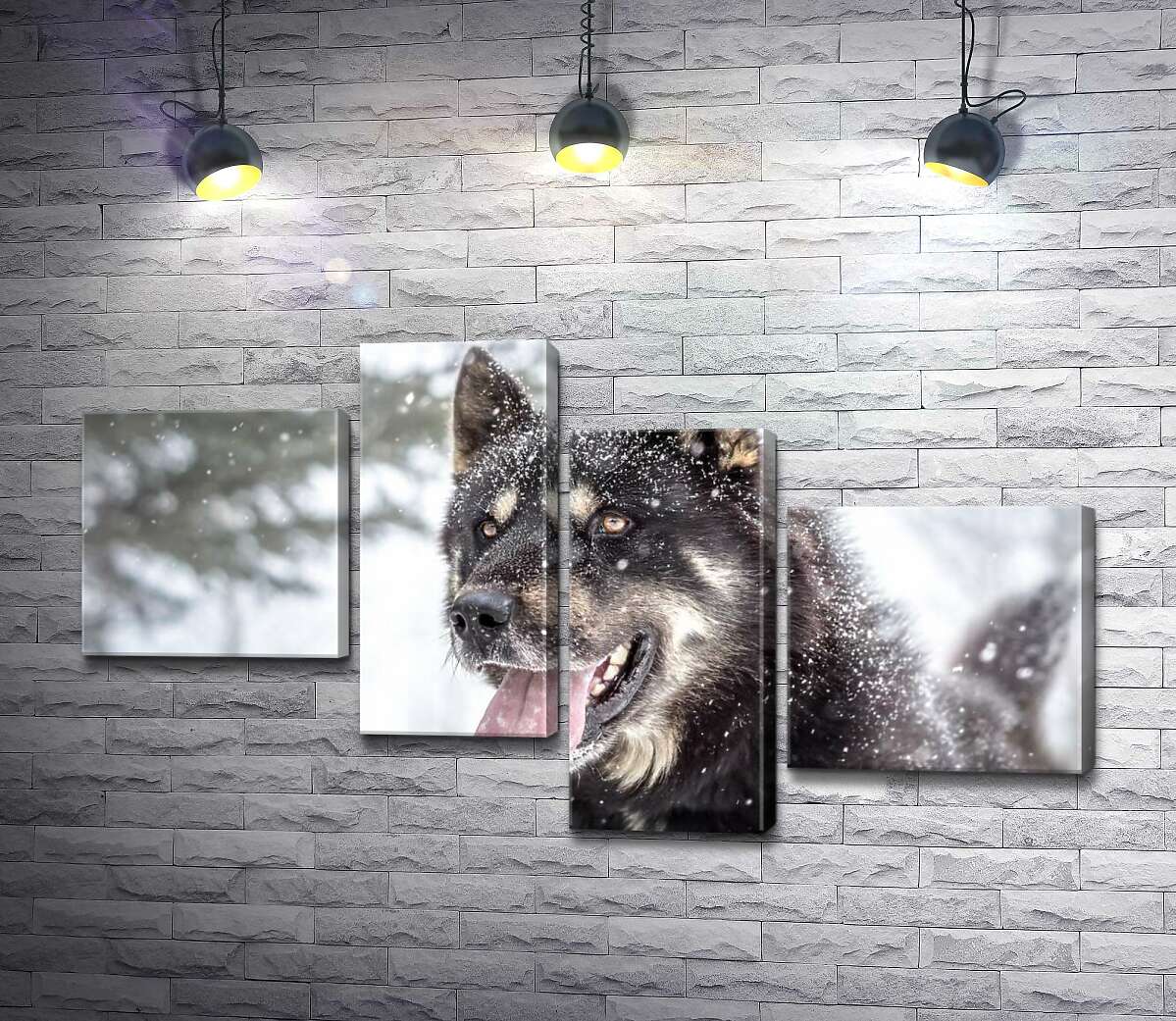 

Модульная картина ArtPoster Белые снежинки падают на черную мордочку сибирского хаски 100x57 см Модуль №20