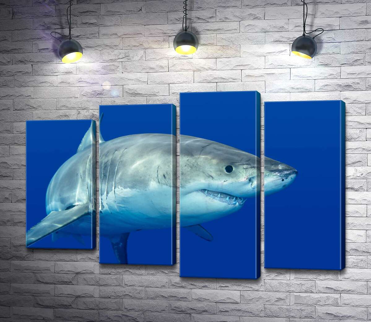 

Модульная картина ArtPoster Белая акула плавает в голубой воде 100x69 см Модуль №21