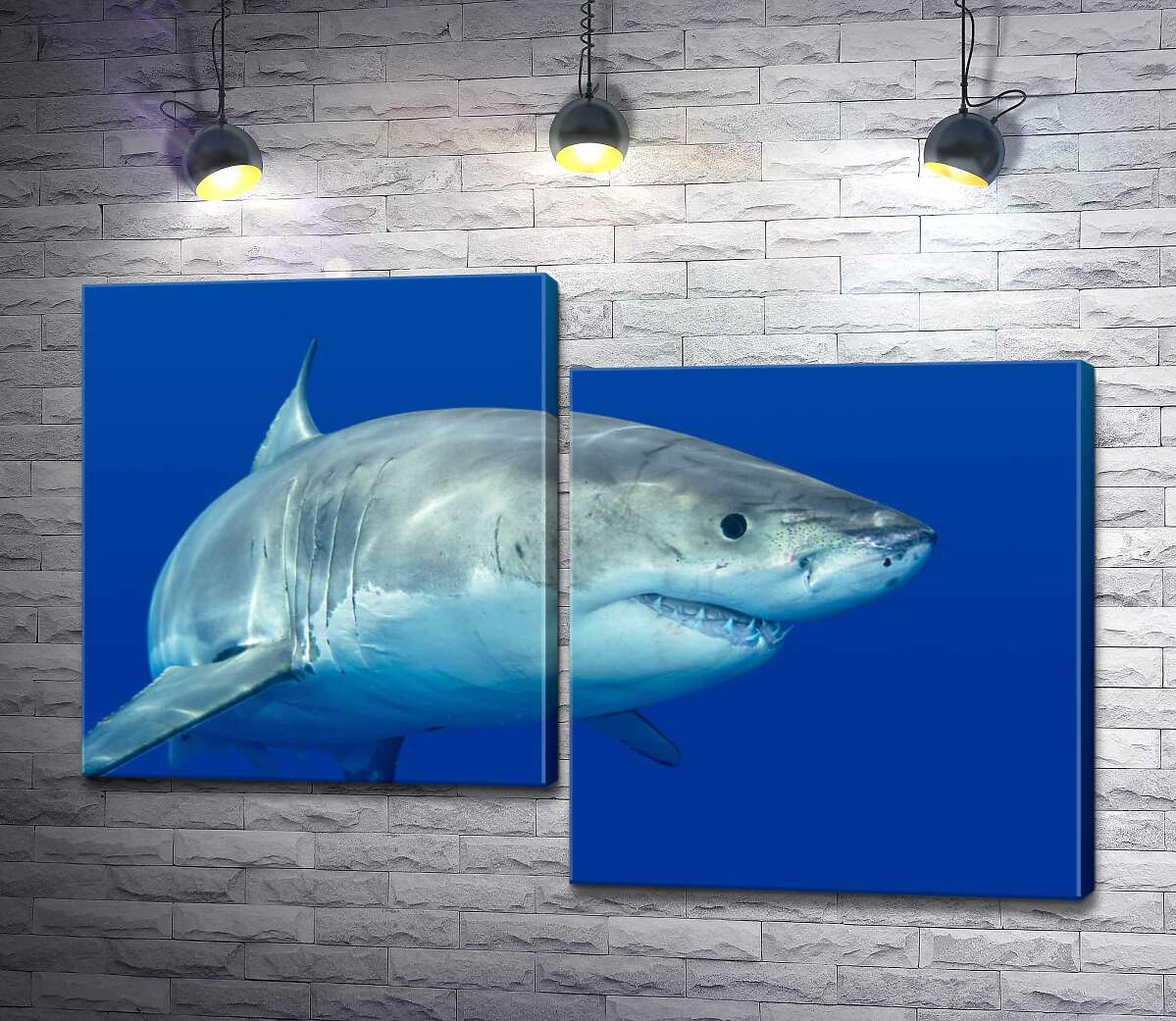 

Модульная картина ArtPoster Белая акула плавает в голубой воде 100x68 см Модуль №5