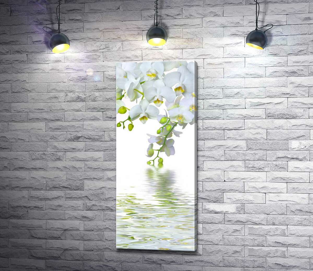 

Картина ArtPoster Снежно-белые ветви орхидей свисают над прозрачными волнами воды 50x122 см Модуль №1