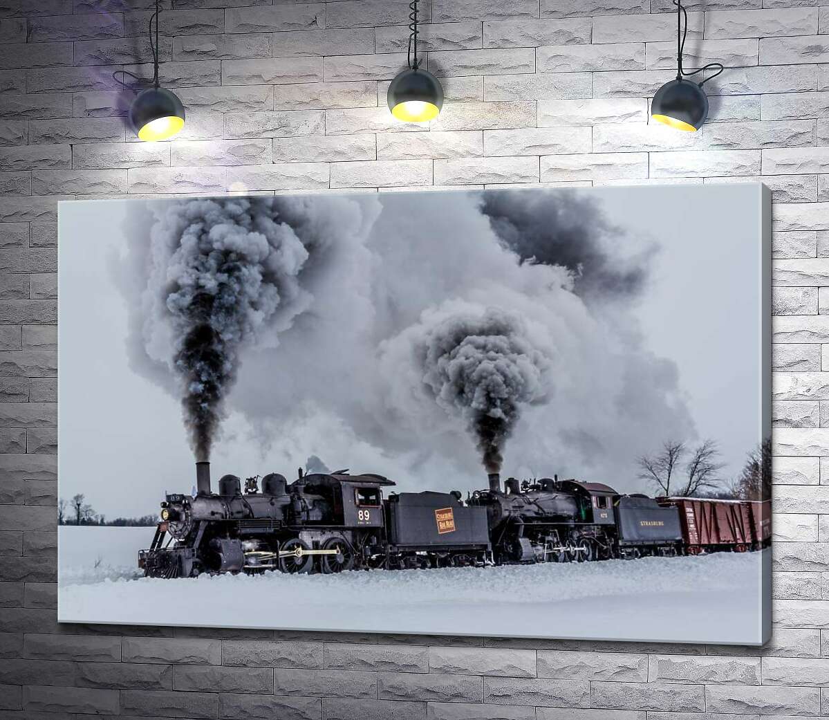

Картина ArtPoster Черное пятно паровоза на заснеженном пространстве пейзажа 100x67 см Модуль №1