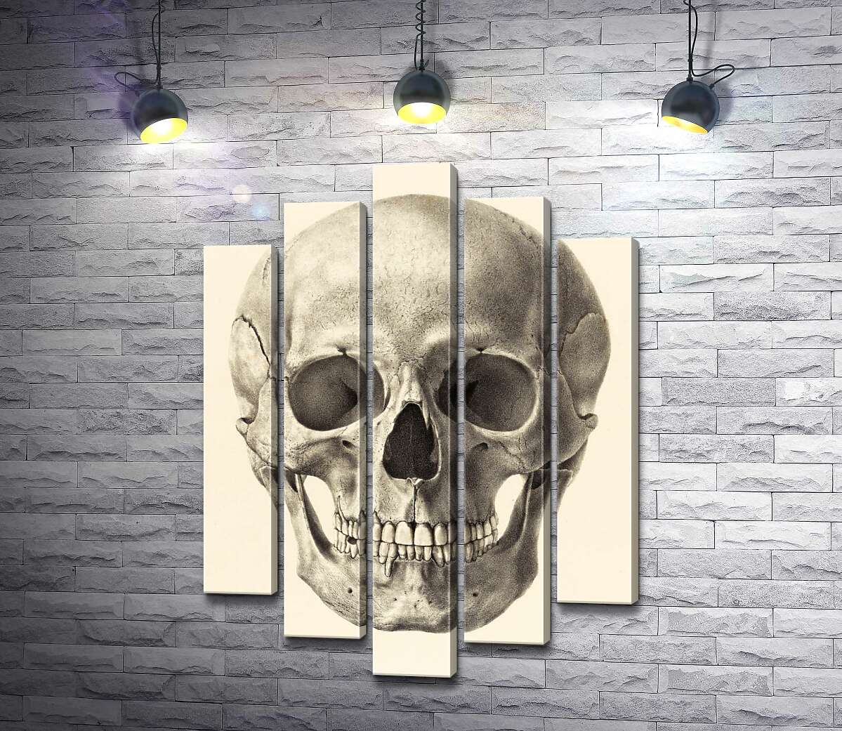 

Модульная картина ArtPoster Анатомия в деталях: череп человека 130x186 см Модуль №26