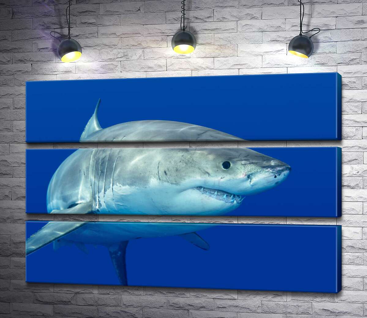 

Модульная картина ArtPoster Белая акула плавает в голубой воде 130x87 см Модуль №13