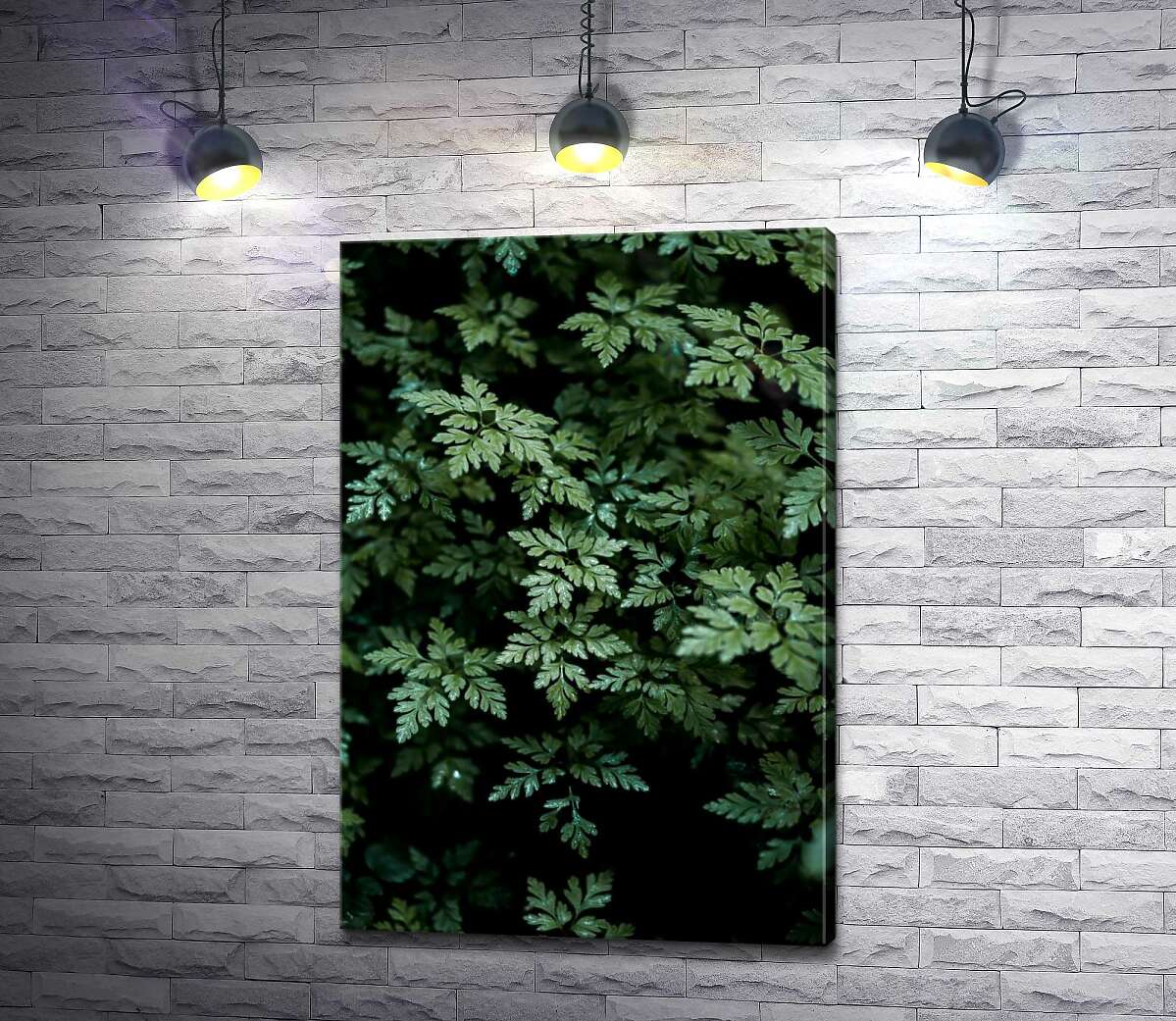 

Картина ArtPoster Таинственные кусты папоротника 130x195 см Модуль №1