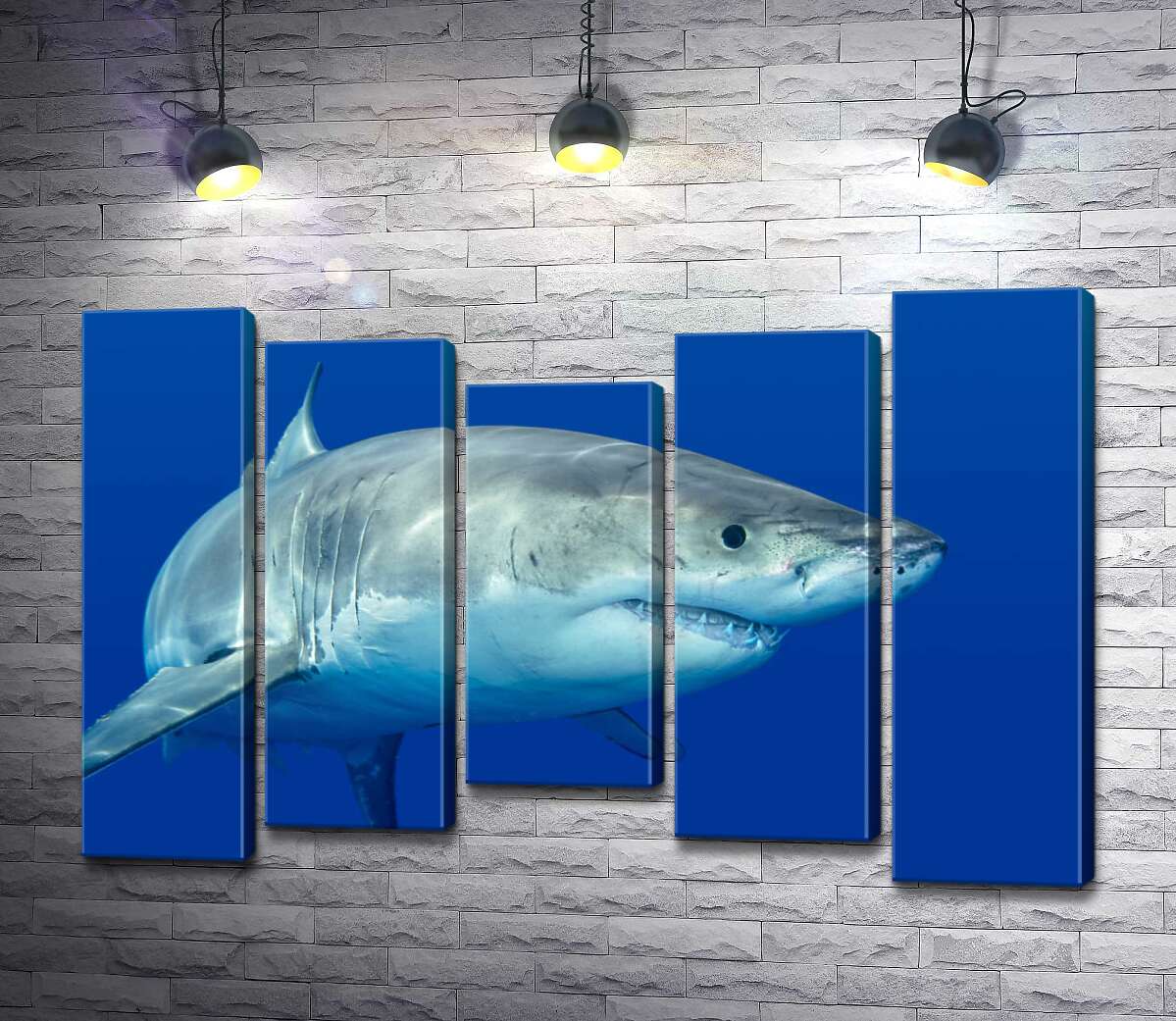 

Модульная картина ArtPoster Белая акула плавает в голубой воде 100x69 см Модуль №28