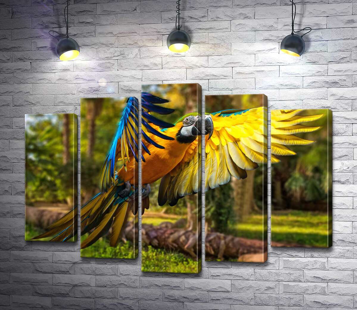 

Модульная картина ArtPoster Голубо-желтый попугай ара расправляет крылья в полете 130x96 см Модуль №26