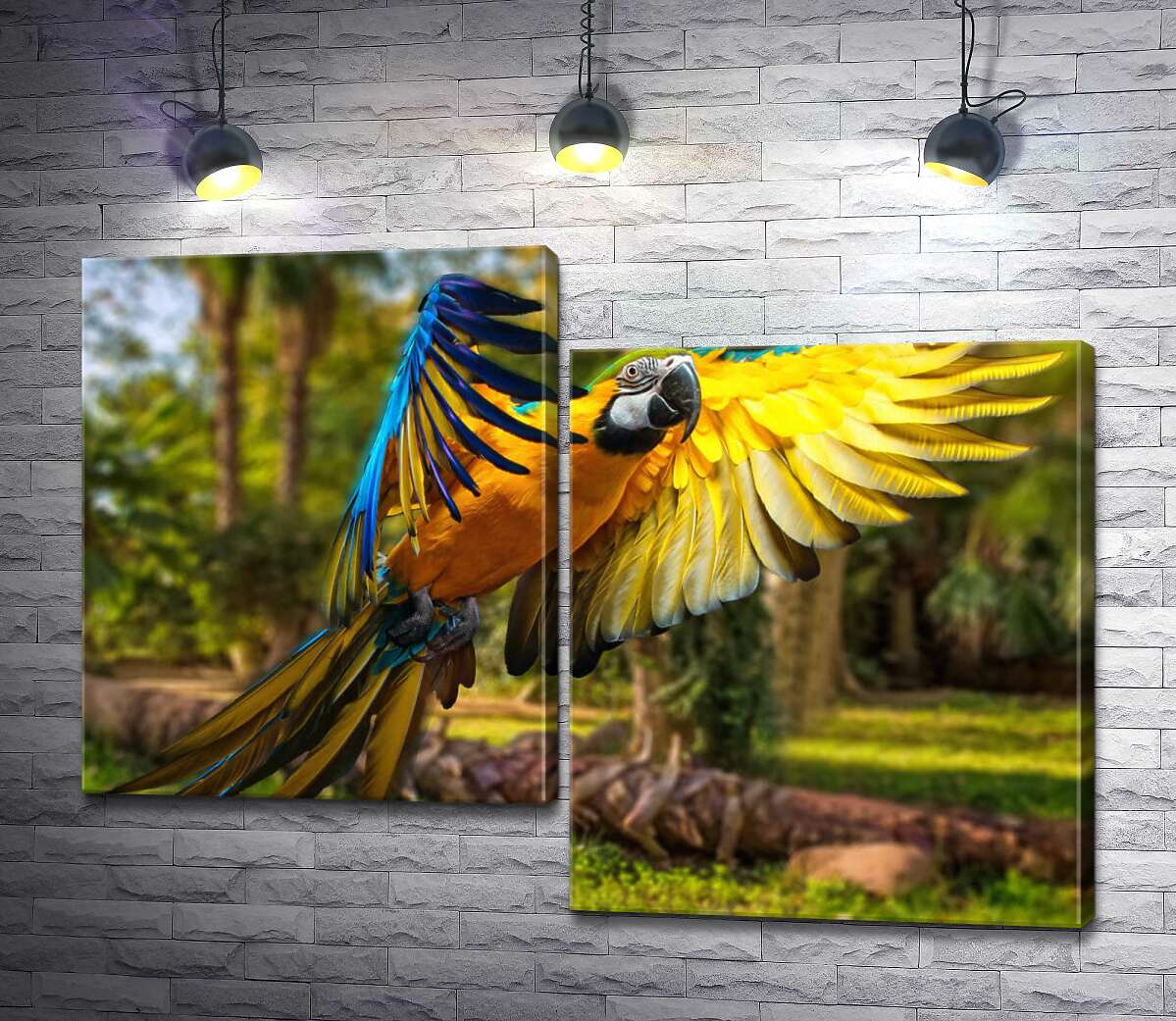 

Модульная картина ArtPoster Голубо-желтый попугай ара расправляет крылья в полете 100x73 см Модуль №5